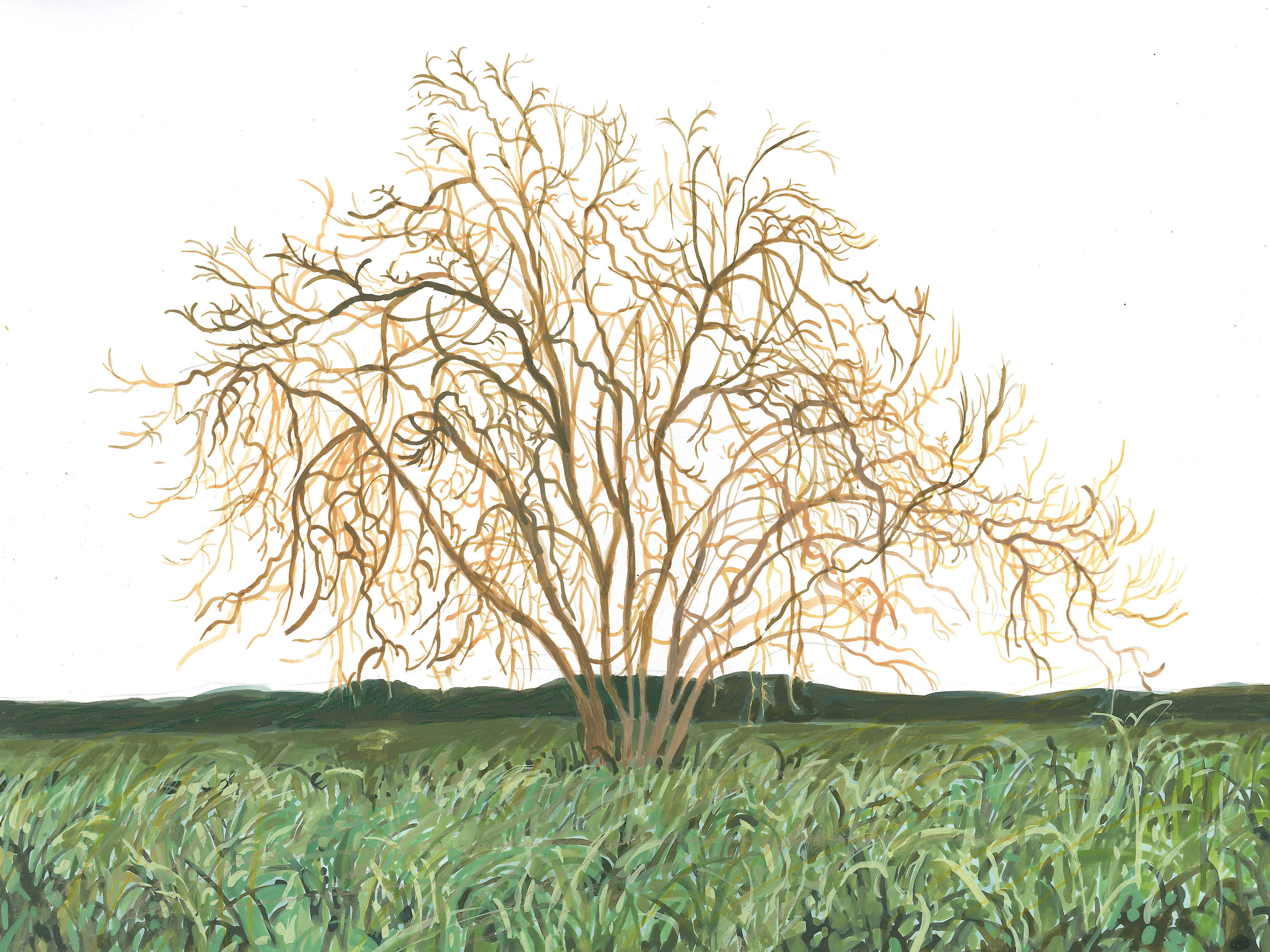 Old Lady (gouache), 2026