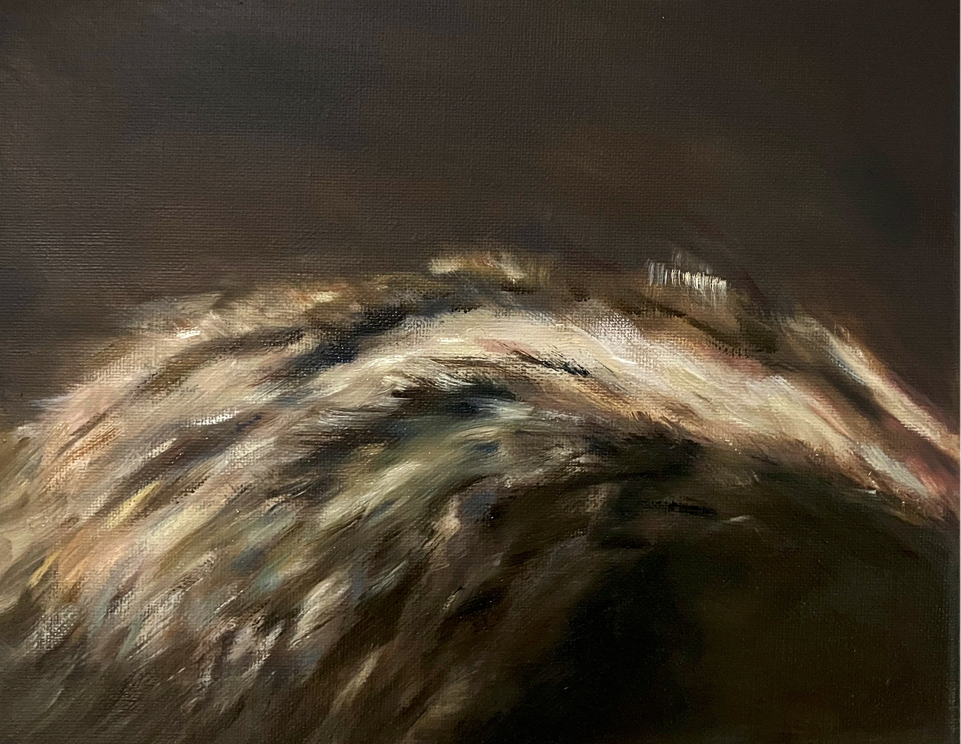 50.397019, 5.820077 - oil on canvas - 24x30