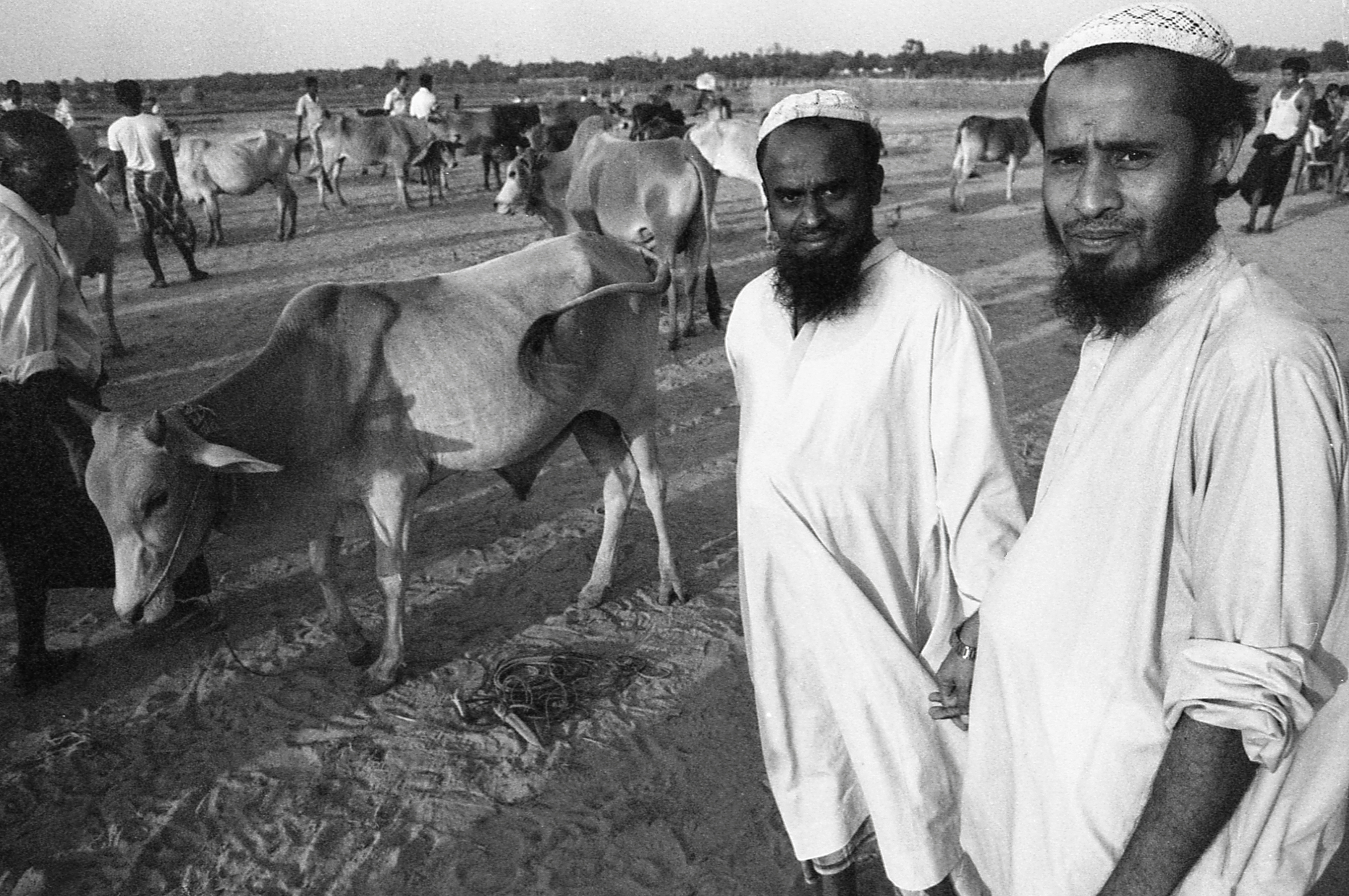 Thakkay Pyin, Myanmar. Two Rohingya men observe the scene at the cattle market outside of their IDP (Internally Displaced Persons) camp.