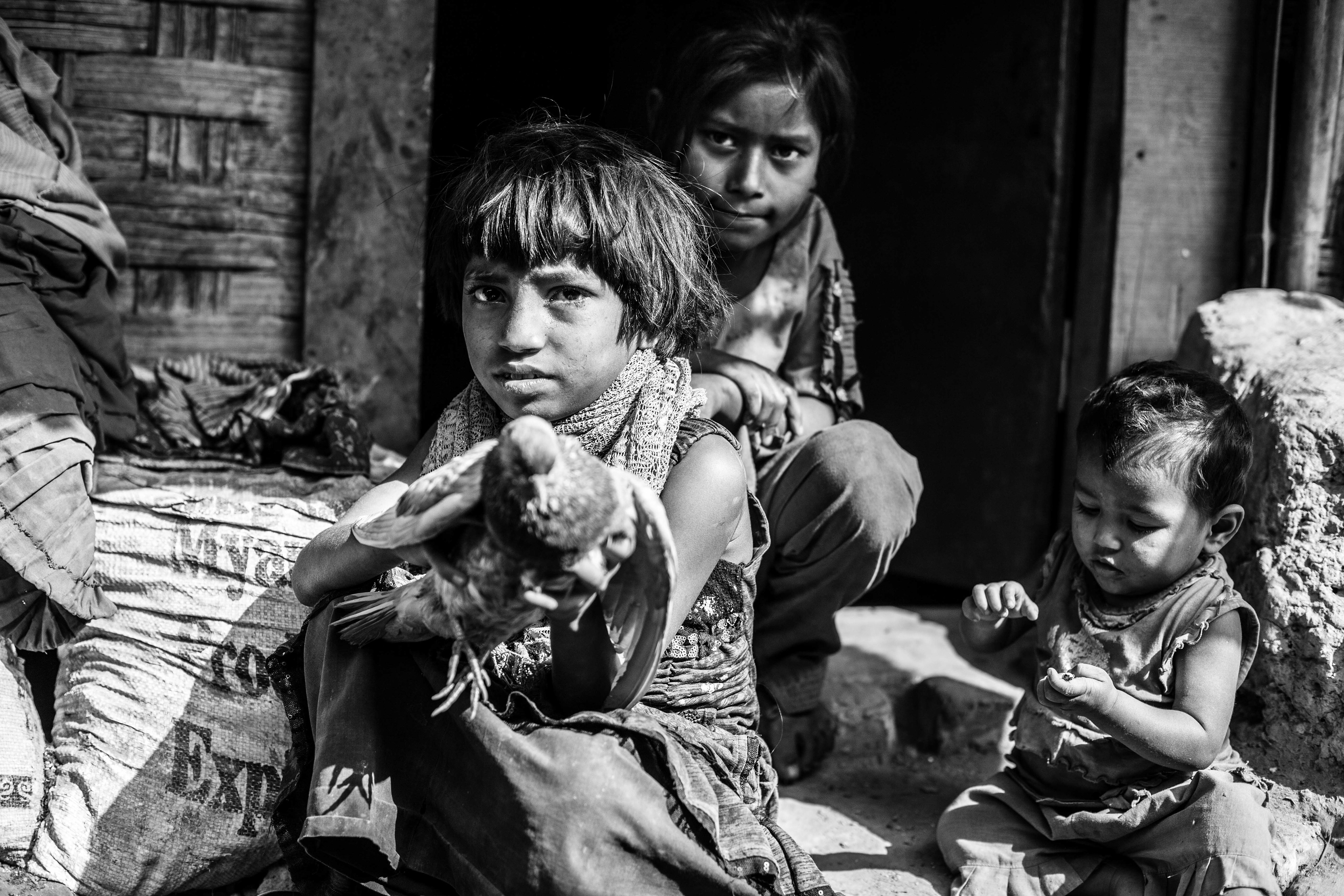 "Clipped Wings." Leda Camp, Teknaf, Bangladesh. Jan 2016. Young children play with a flightless bird, to be used for a meal, outside of their family’s home. The vast majority of the huts in this refugee camp have less than 20 square meters and typically house 6-8 people. There are roughly 2,100 families that live in Leda Camp, making up a total population of approximately 17,000.