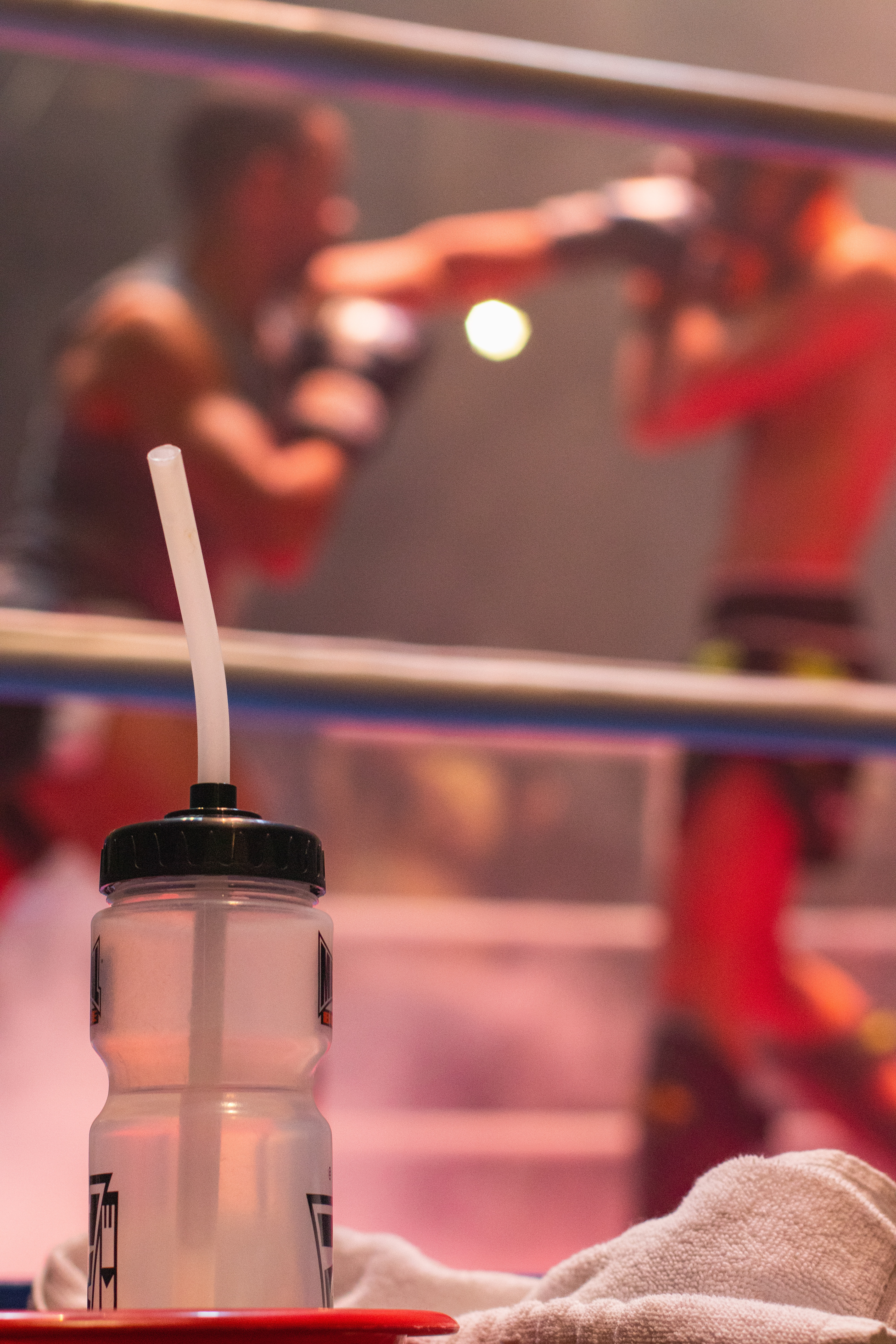 Combat de boxe sur le ring