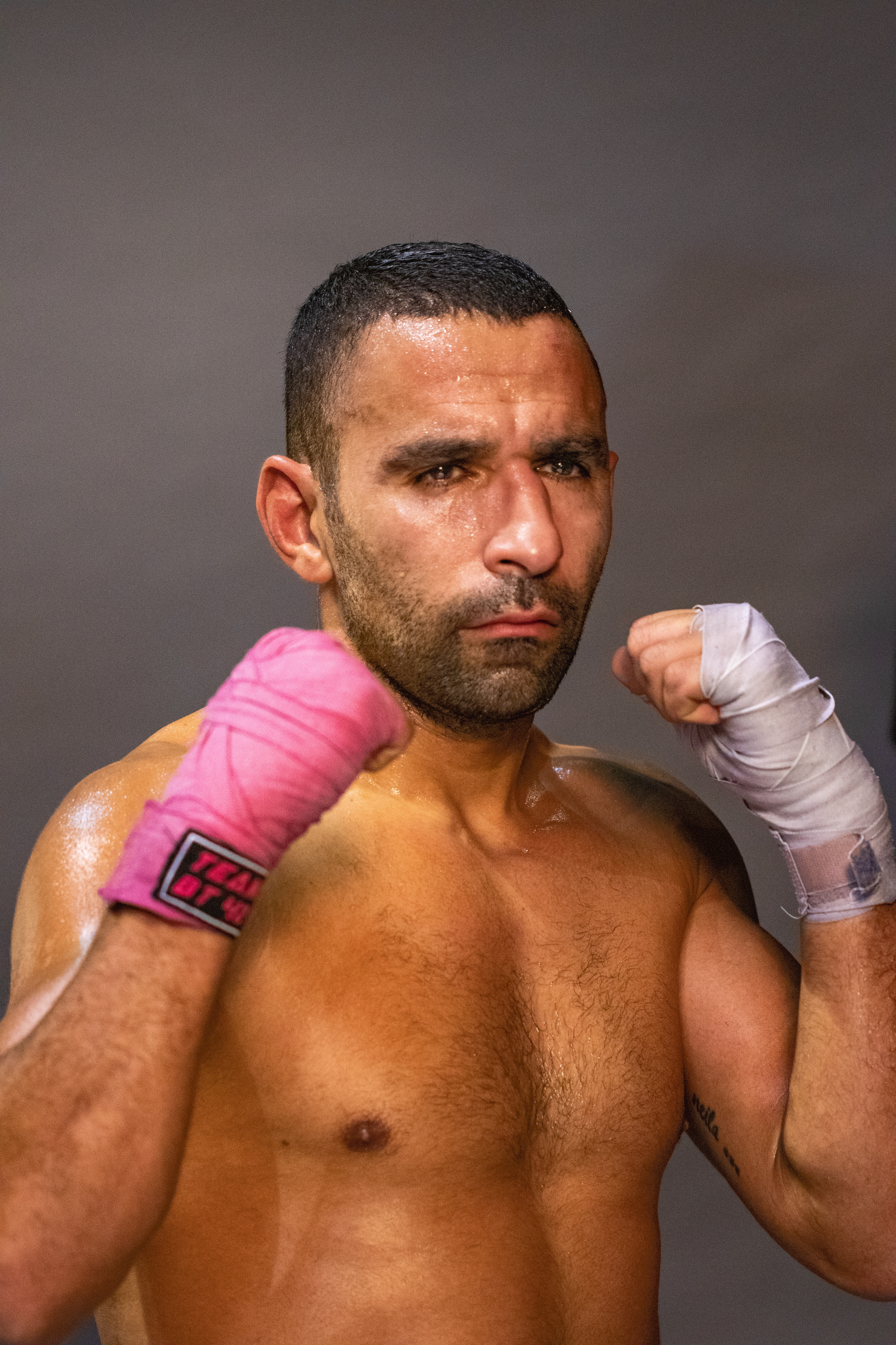 Portait d’un boxer