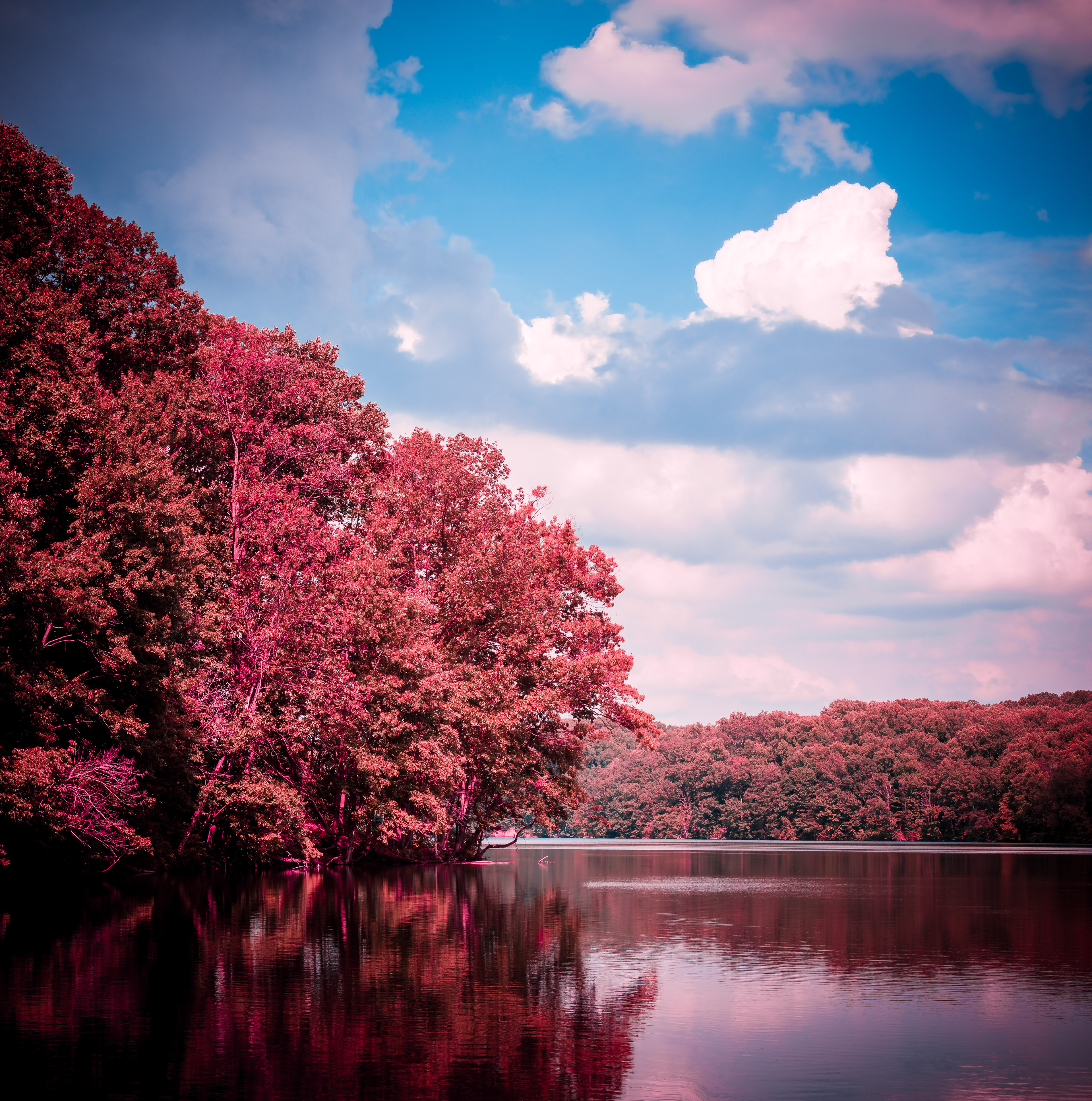 Lake 1 Aerochrome IR (Digital false Kodak Aerochrome IR conversion)