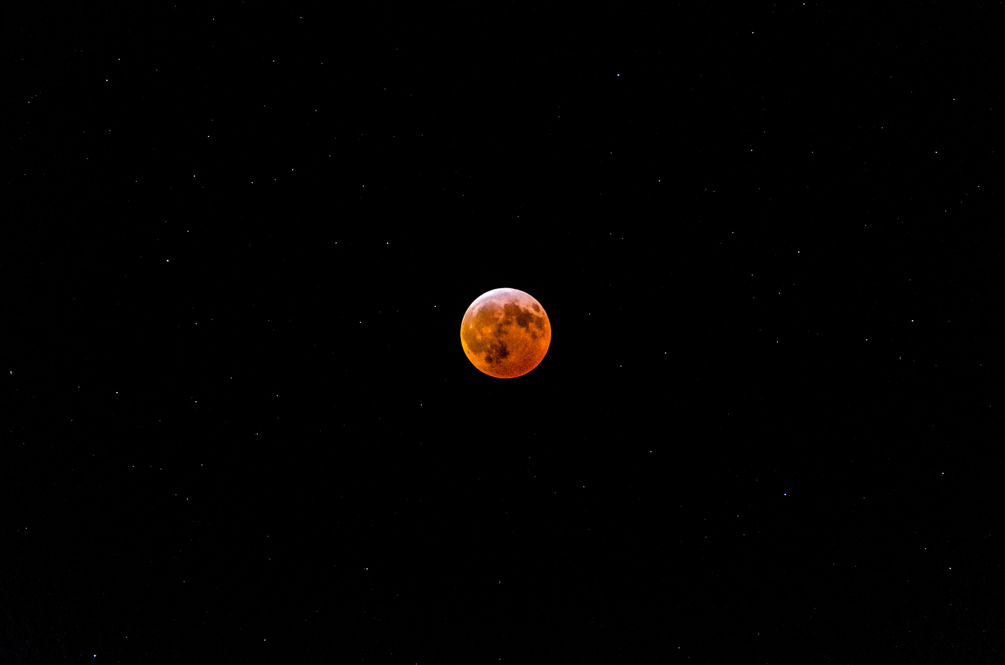 Super Blood Wolf Total Lunar Eclipse (2019)