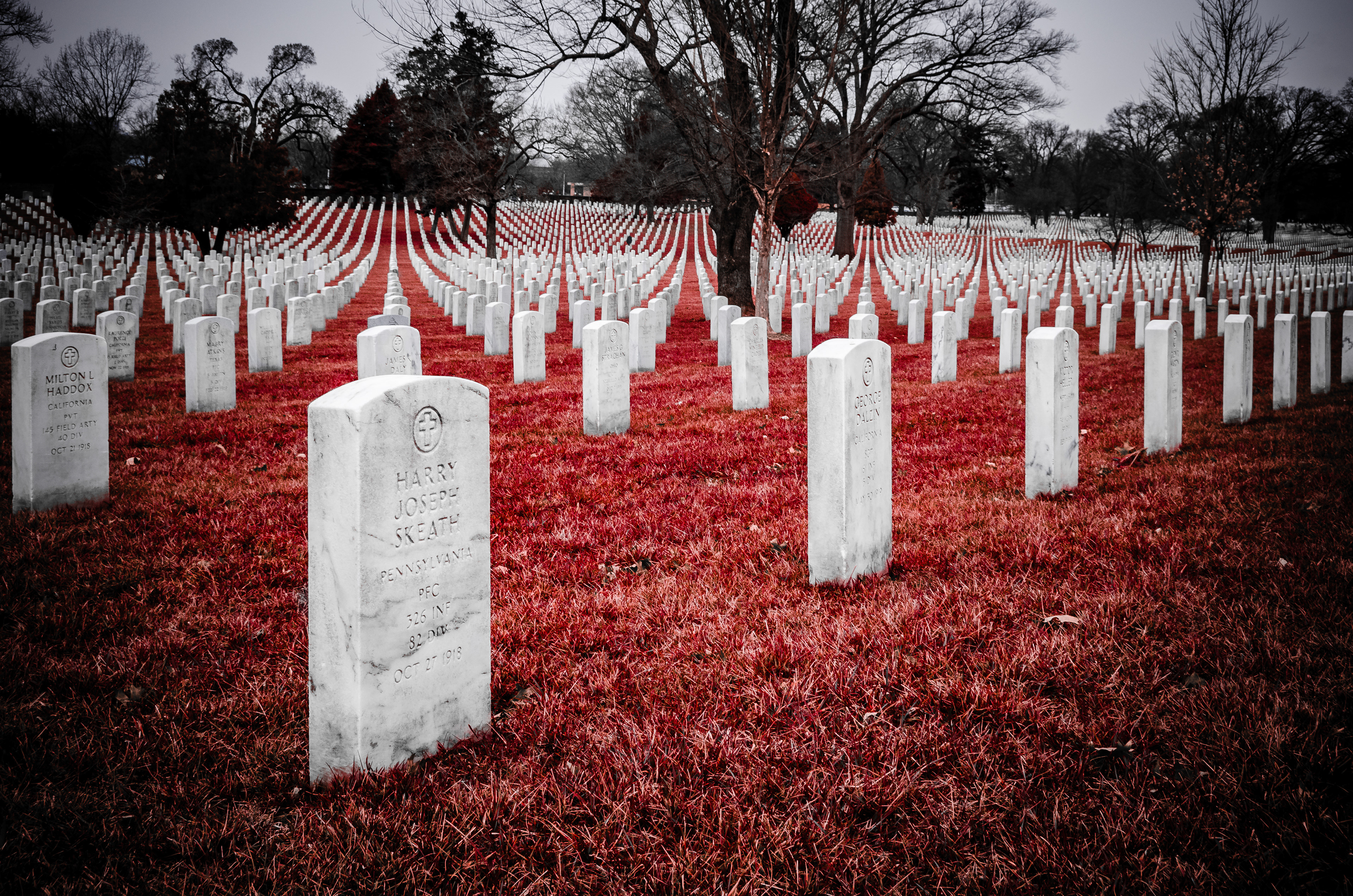 Arlington National Cemetery WW-I Section (Digital false Kodak Aerochrome IR conversion)