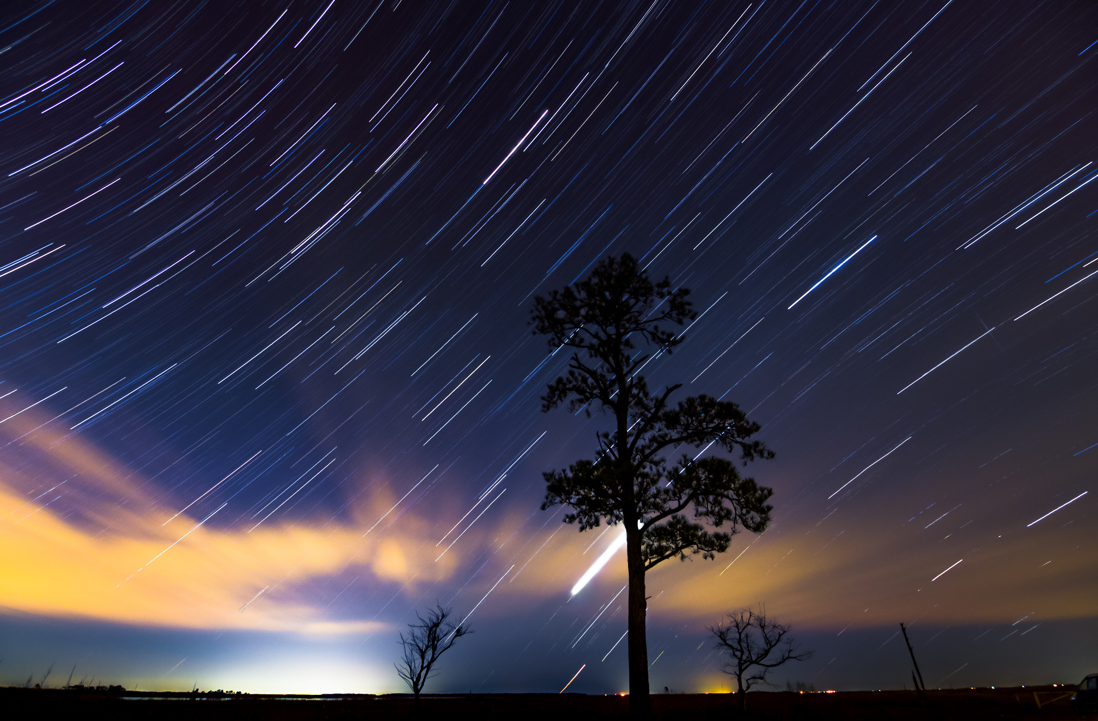 Venus Rising (eastern equatorial startrails)