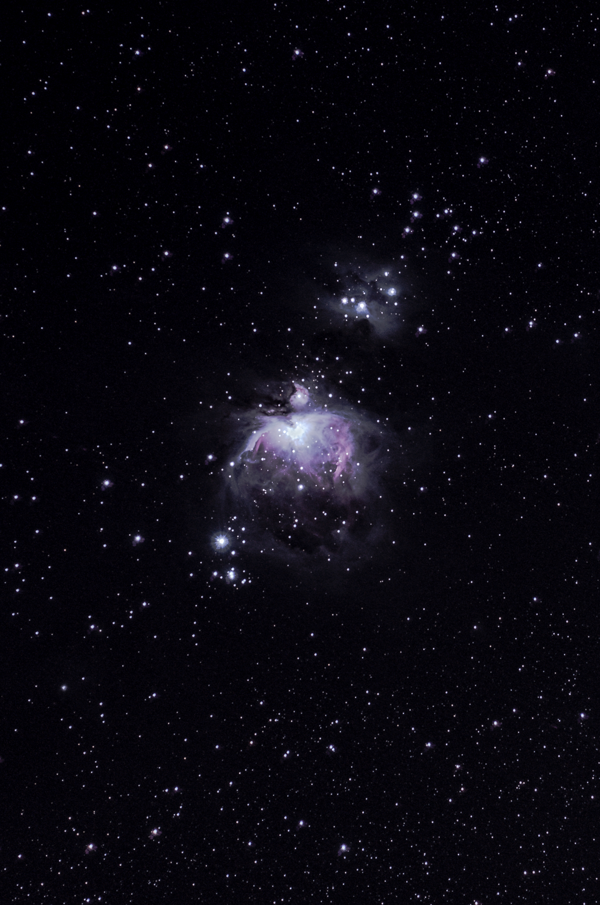 Orion's Nebula