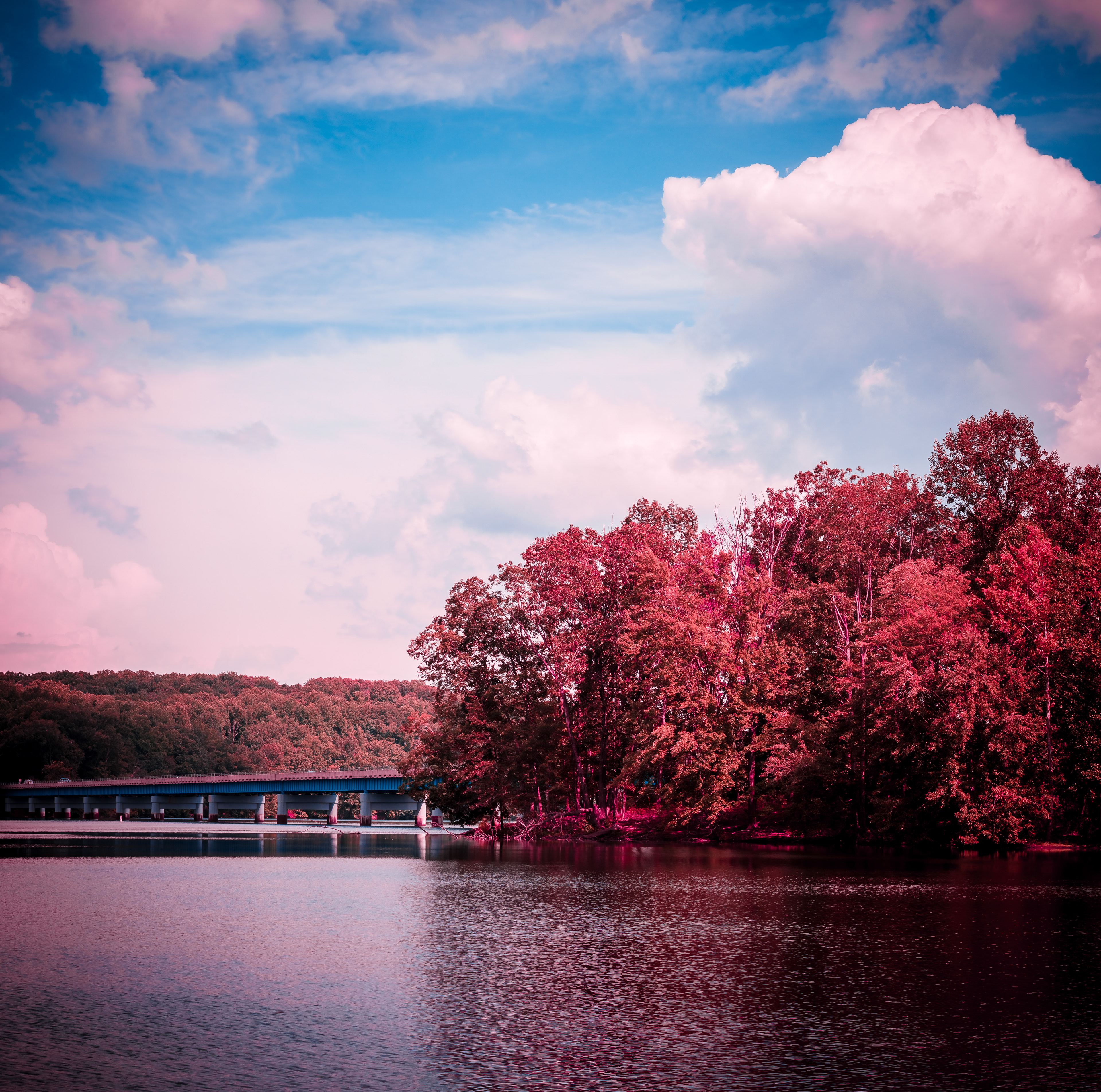 Lake 2 Aerochrome IR (Digital false Kodak Aerochrome IR conversion)(Digital false Kodak Aerochrome IR conversion)