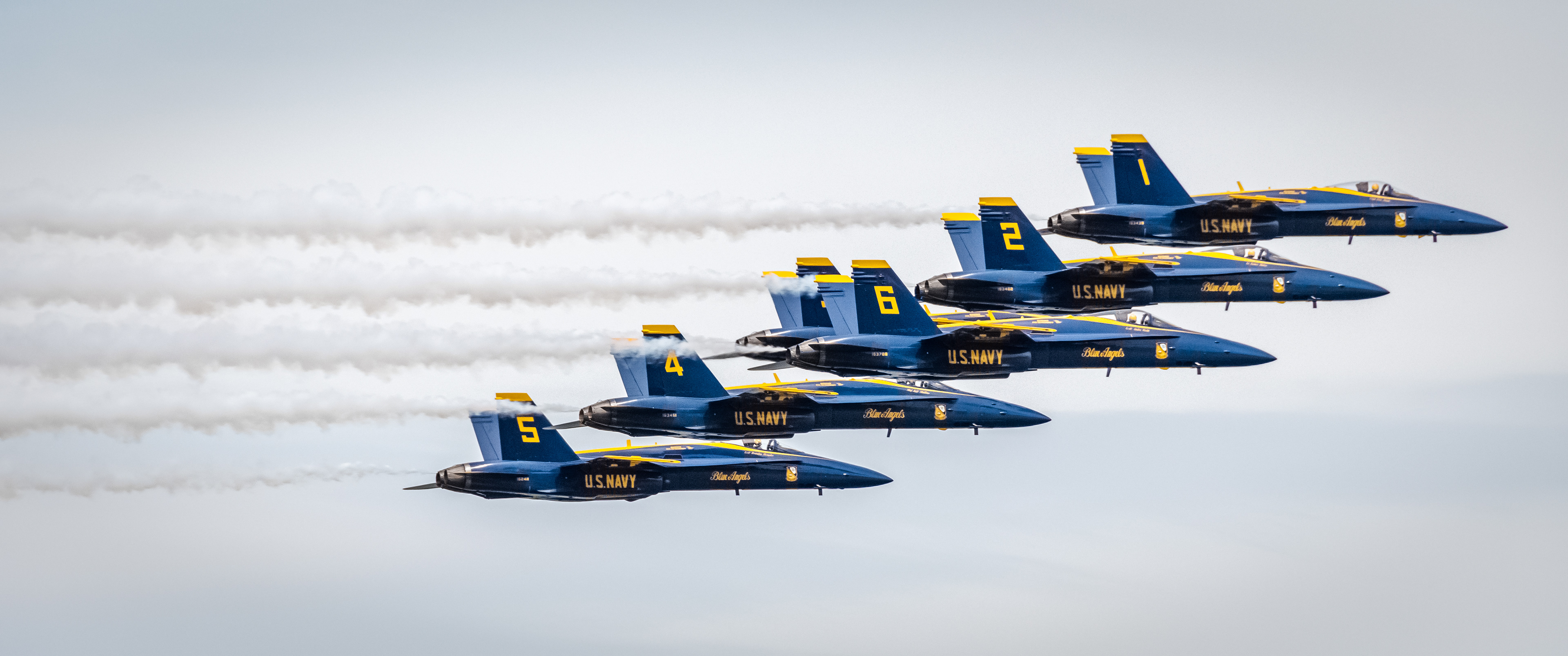 Six Hornets in a Row