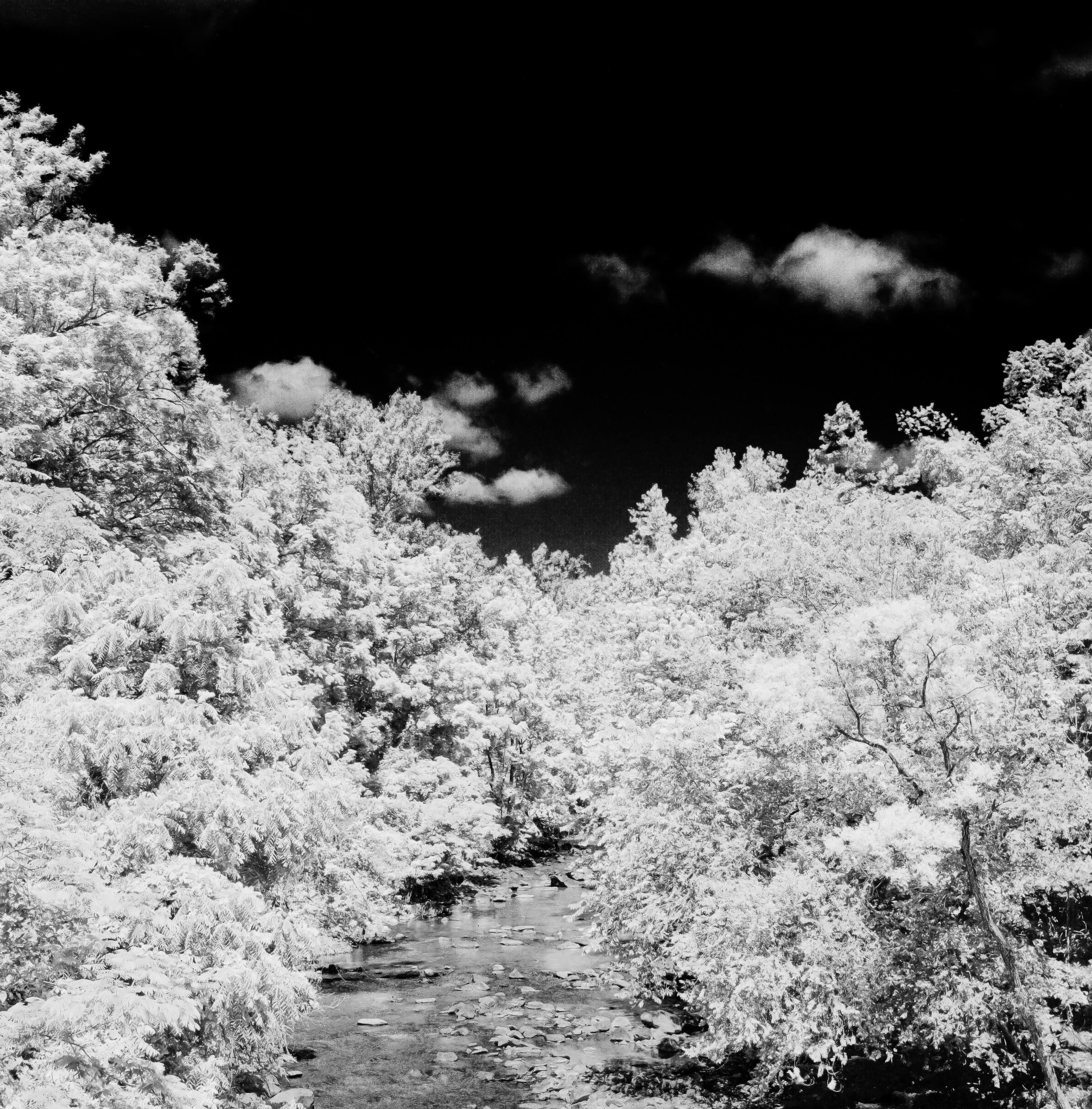 Gwynn Falls in Infrared