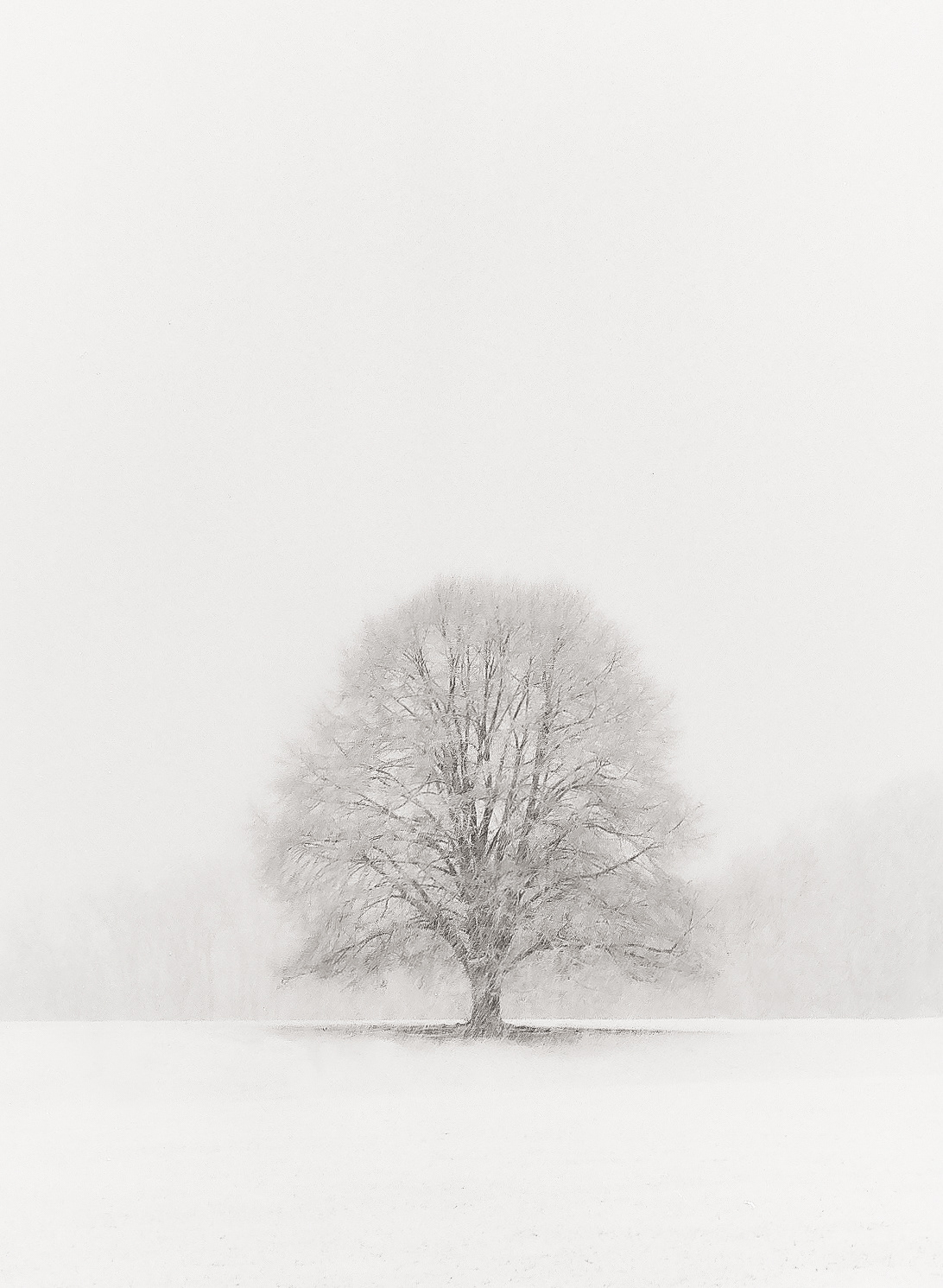 Winter Solitude