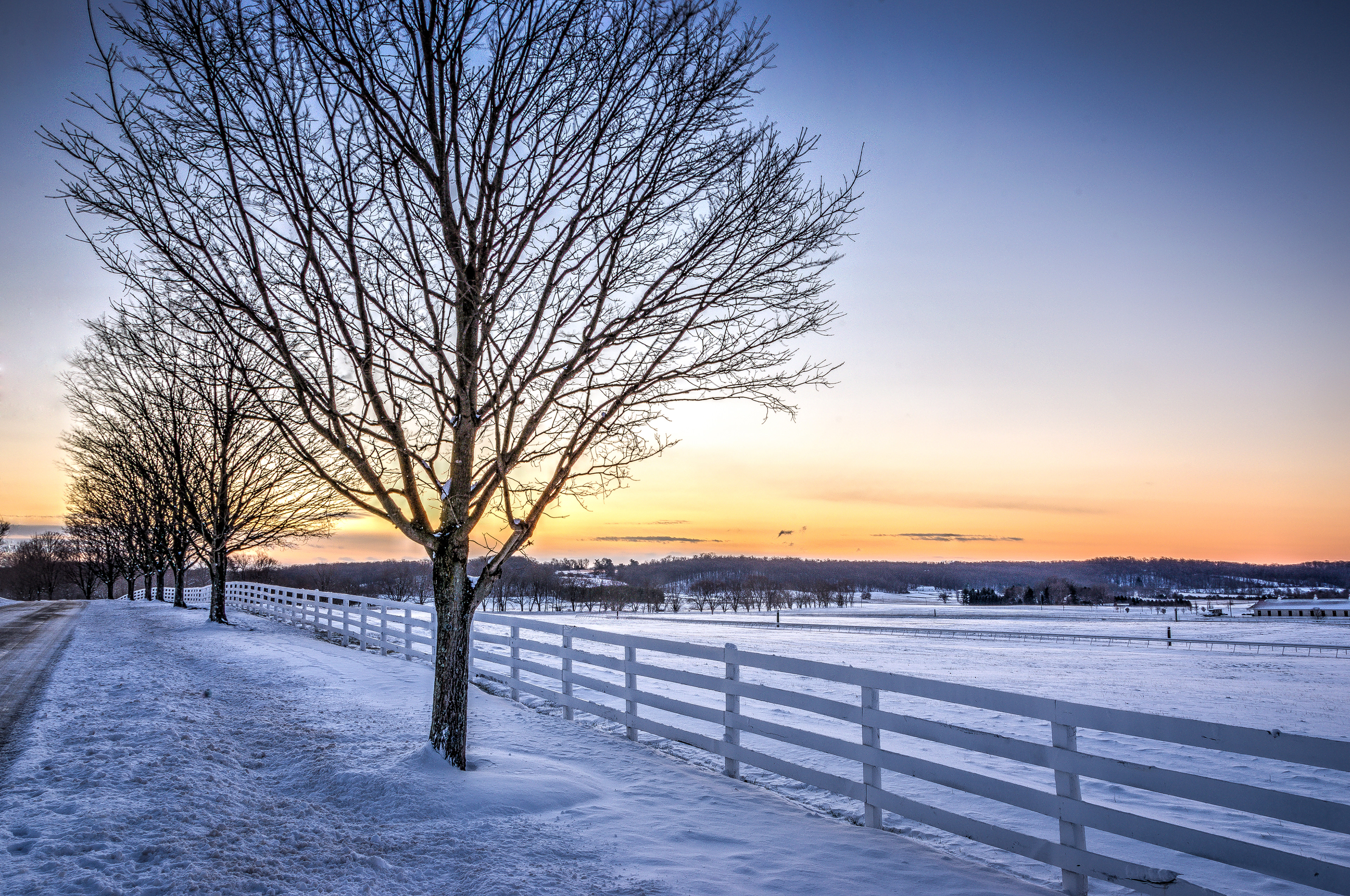 Winter Dawn at the Farm