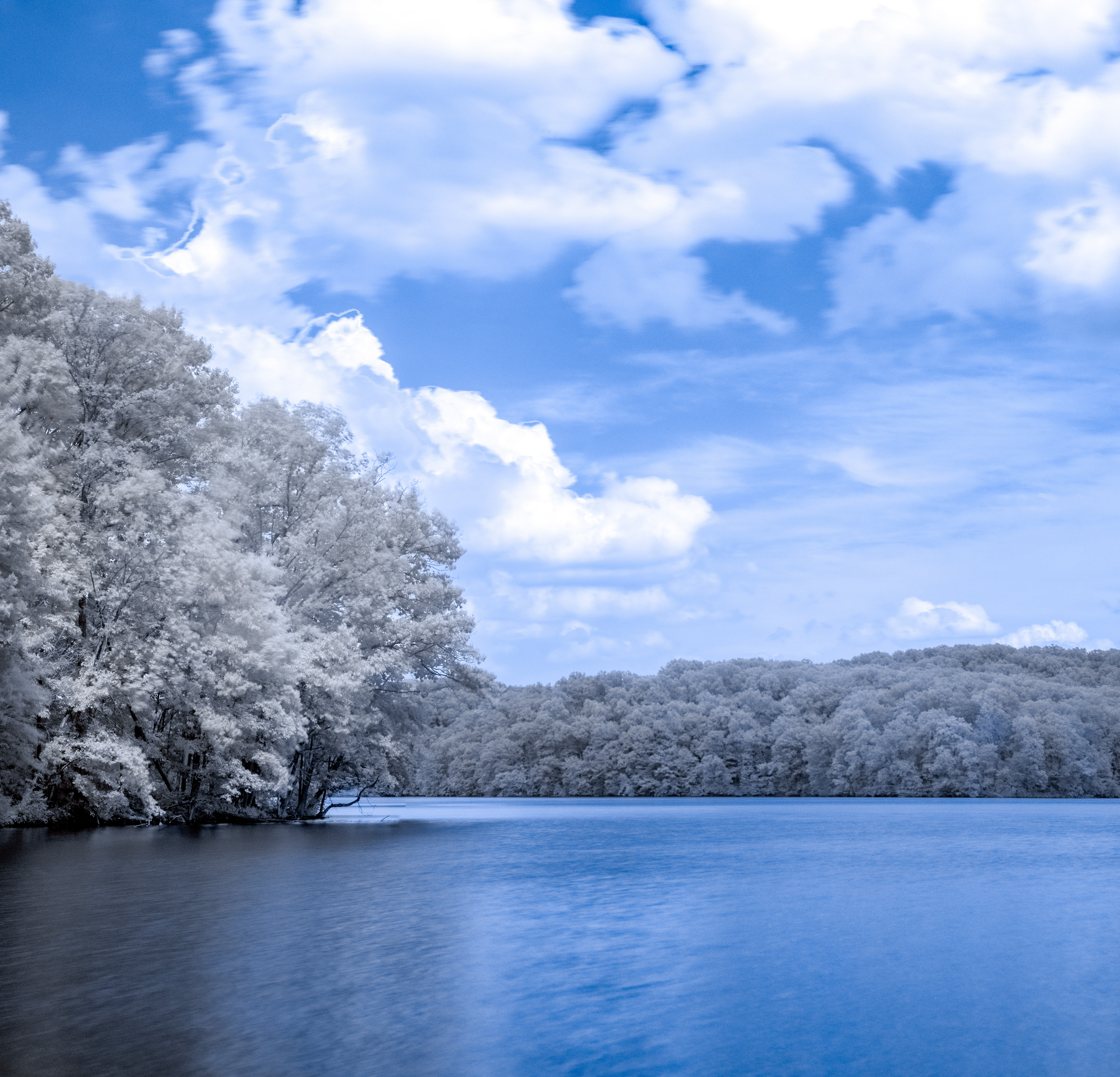 Lake 1 B&W IR (Digital false color IR conversion)