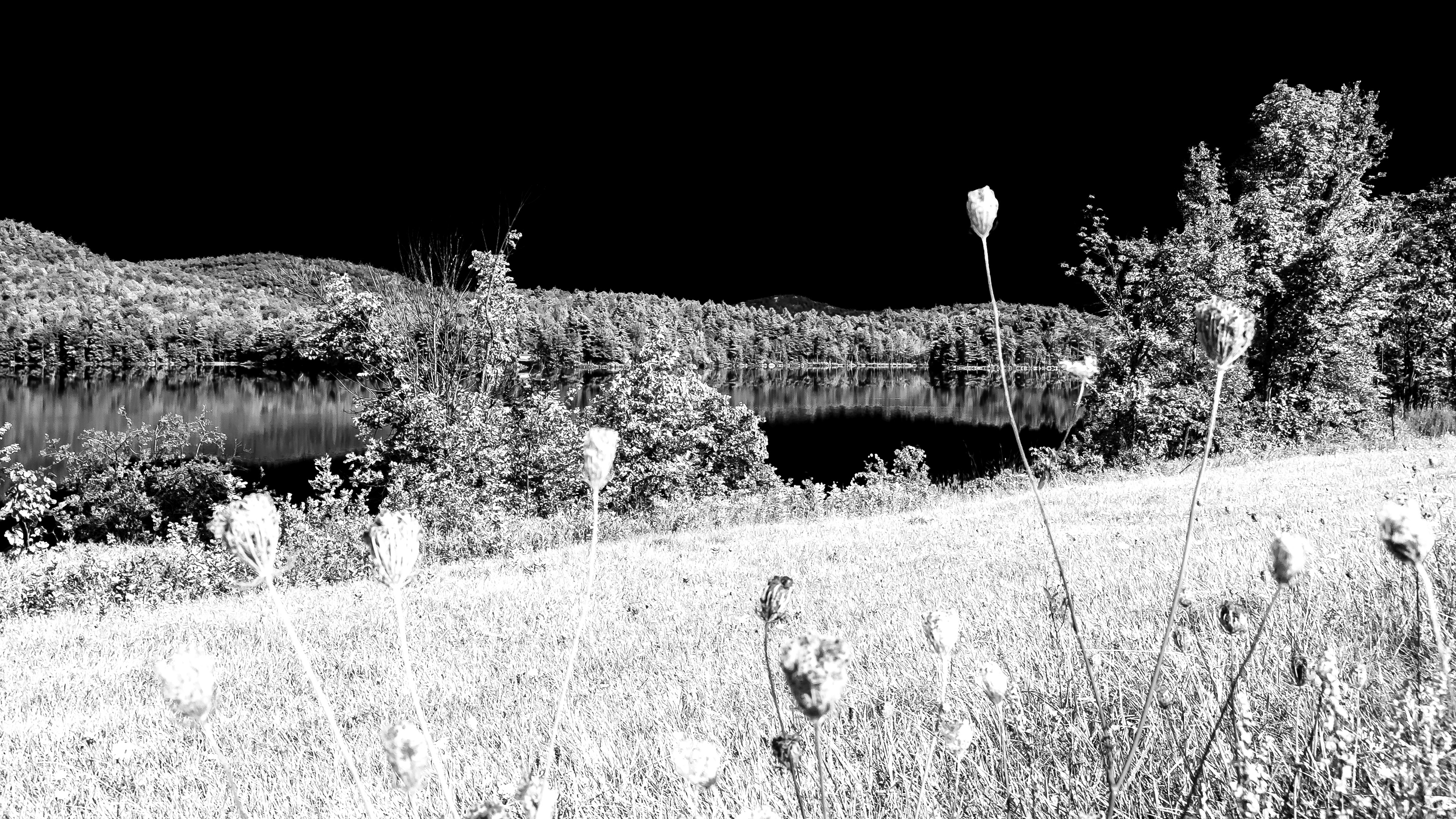 Adirondack Lake (Digital B&W IR conversion)