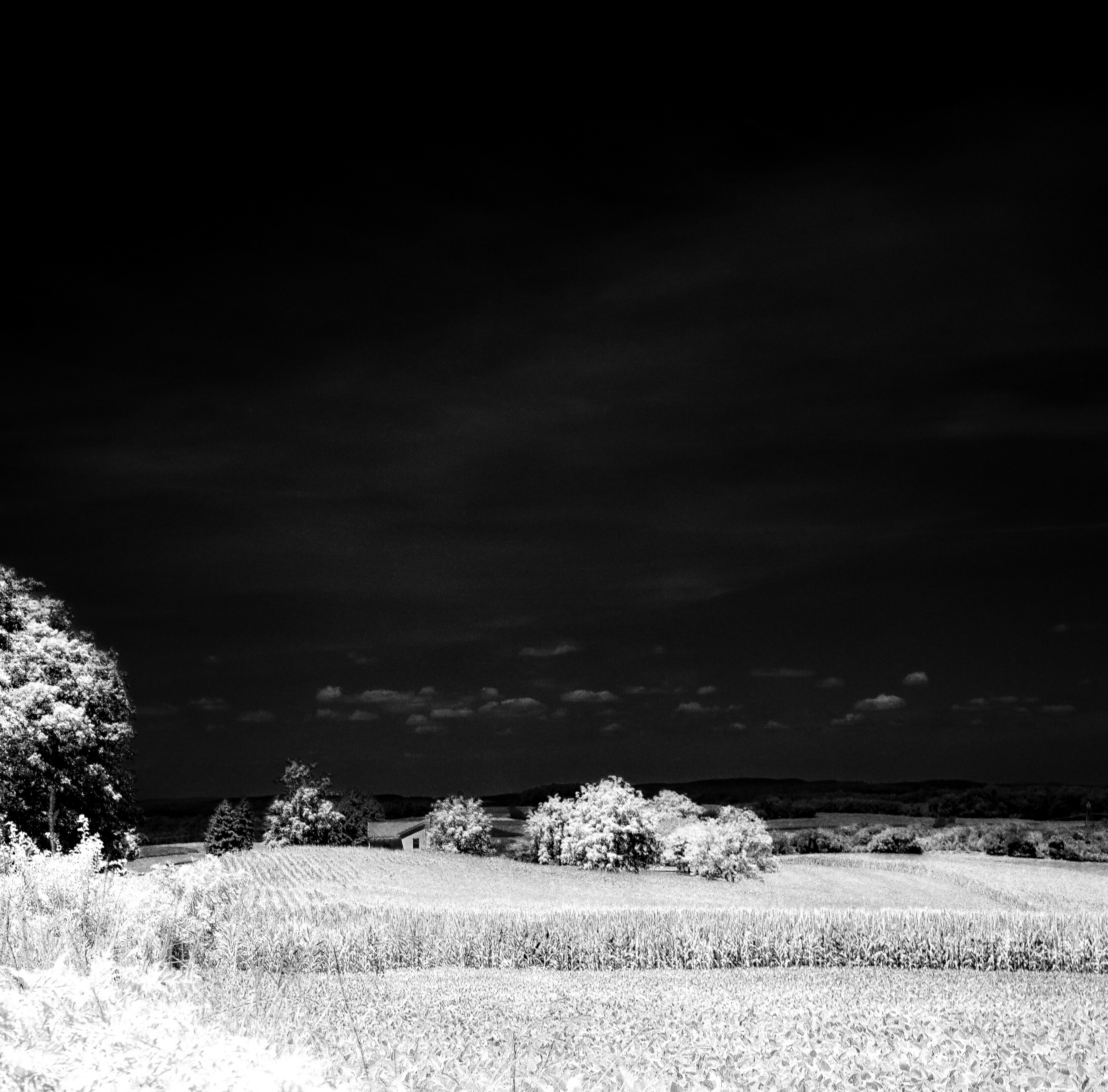 Country Farm (film)