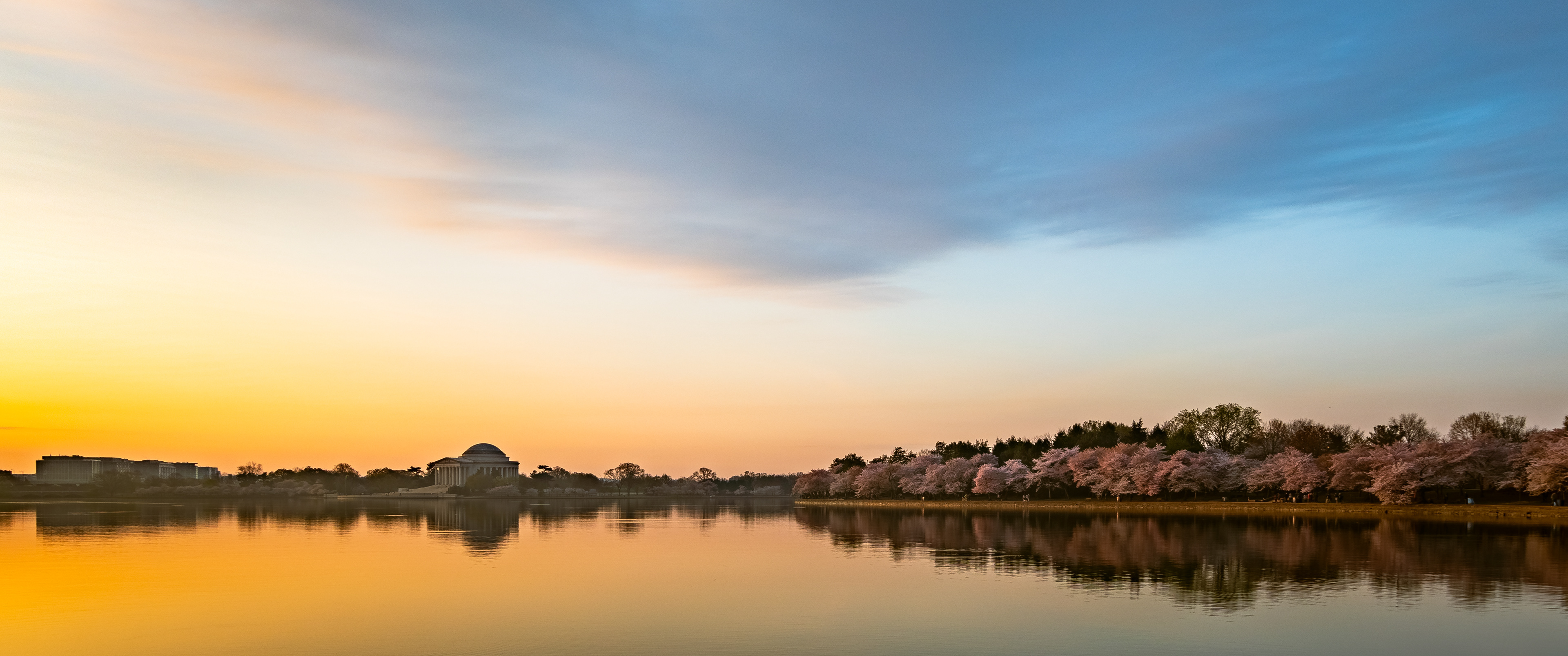 Spring's Sunrise Glow