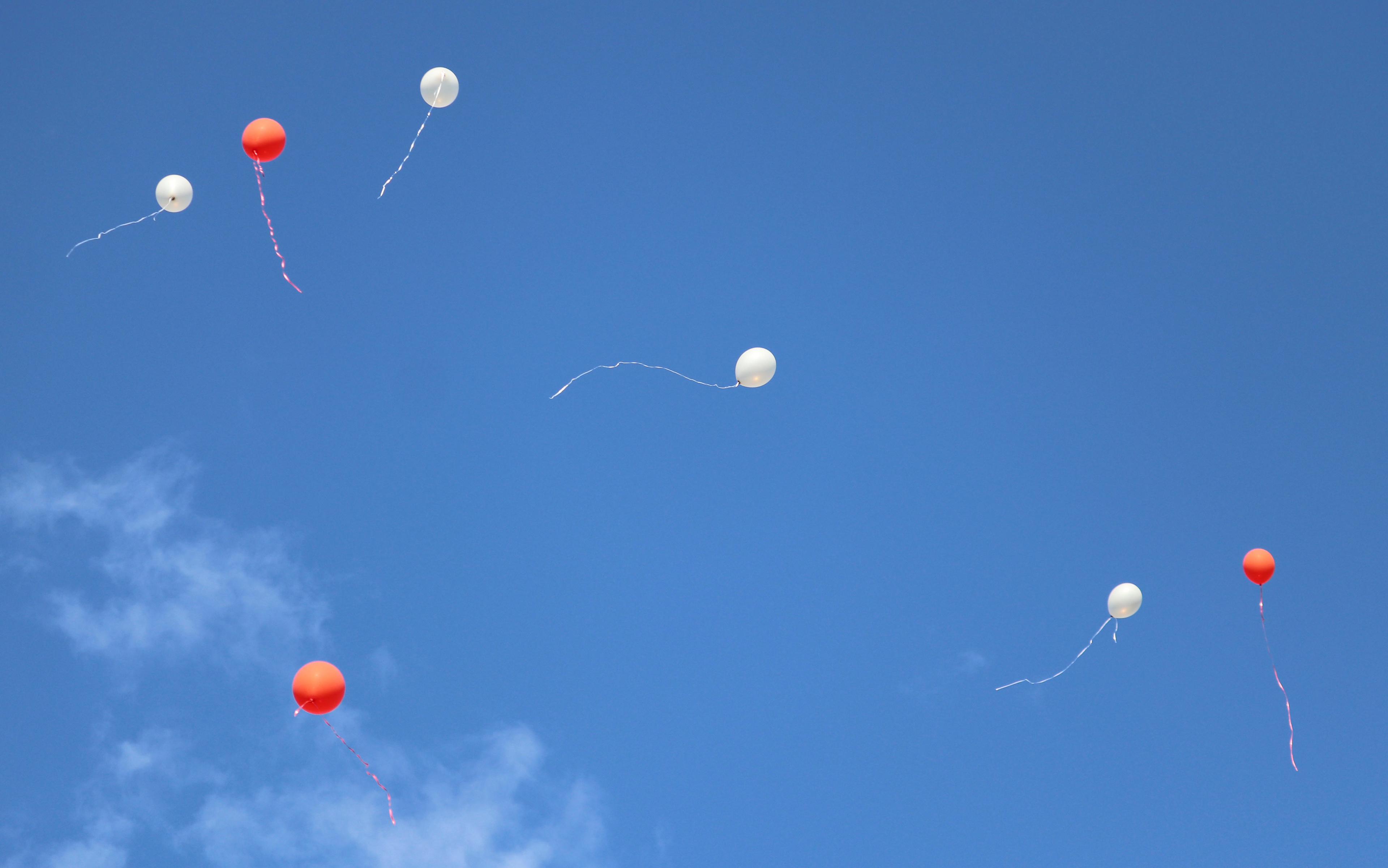 Balloons float up in the sky in remembrance of Pannell in Teaneck on Saturday, October 3rd, 2021. (Photo/Sunah Choudhry)