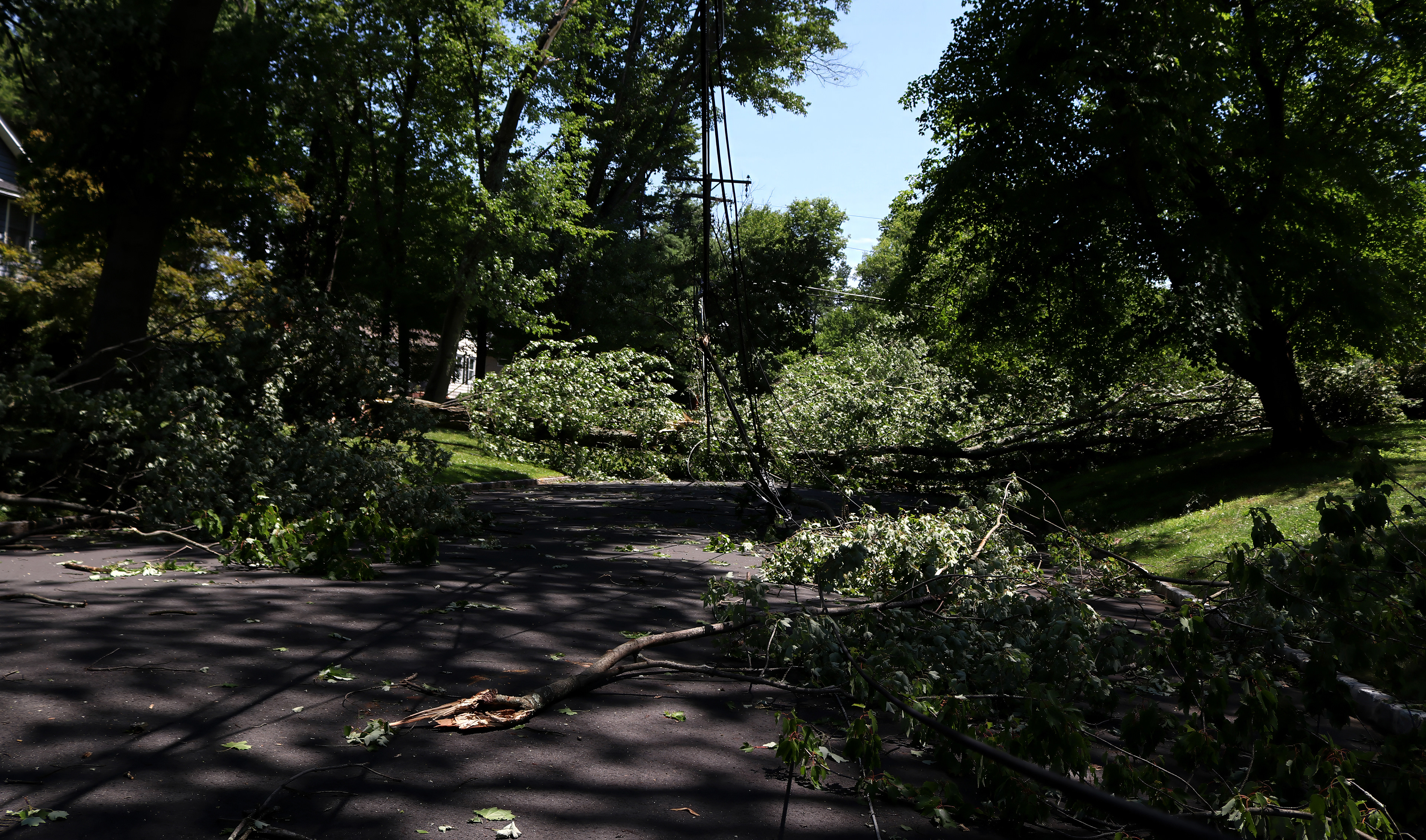 A downed utility line and multiple downed trees block an entire roadway in Morris Plains. Photo by Sunah Choudhry.