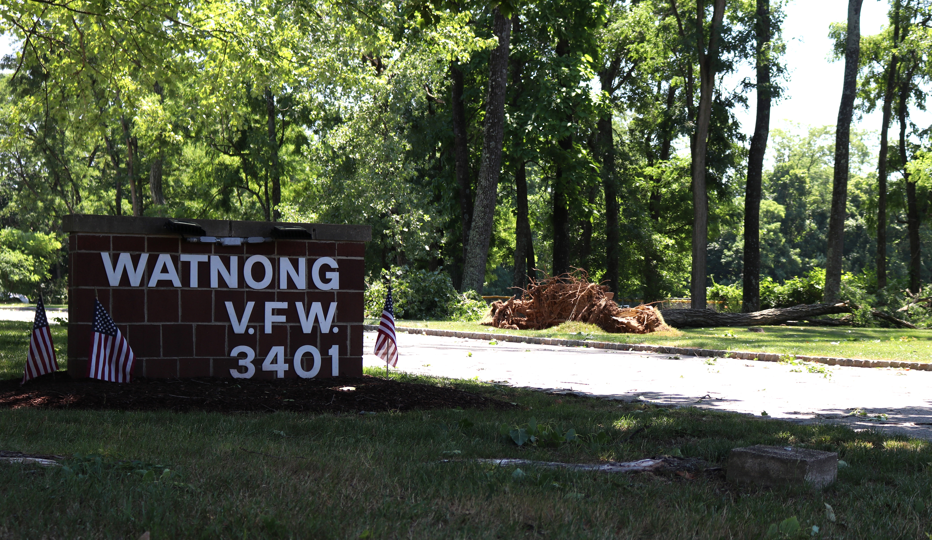 A tree lays on the grounds of the Veterans of Foreign Affairs #3401 after a powerful storm in Morris Plains, New Jersey. Photo by Sunah Choudhry.