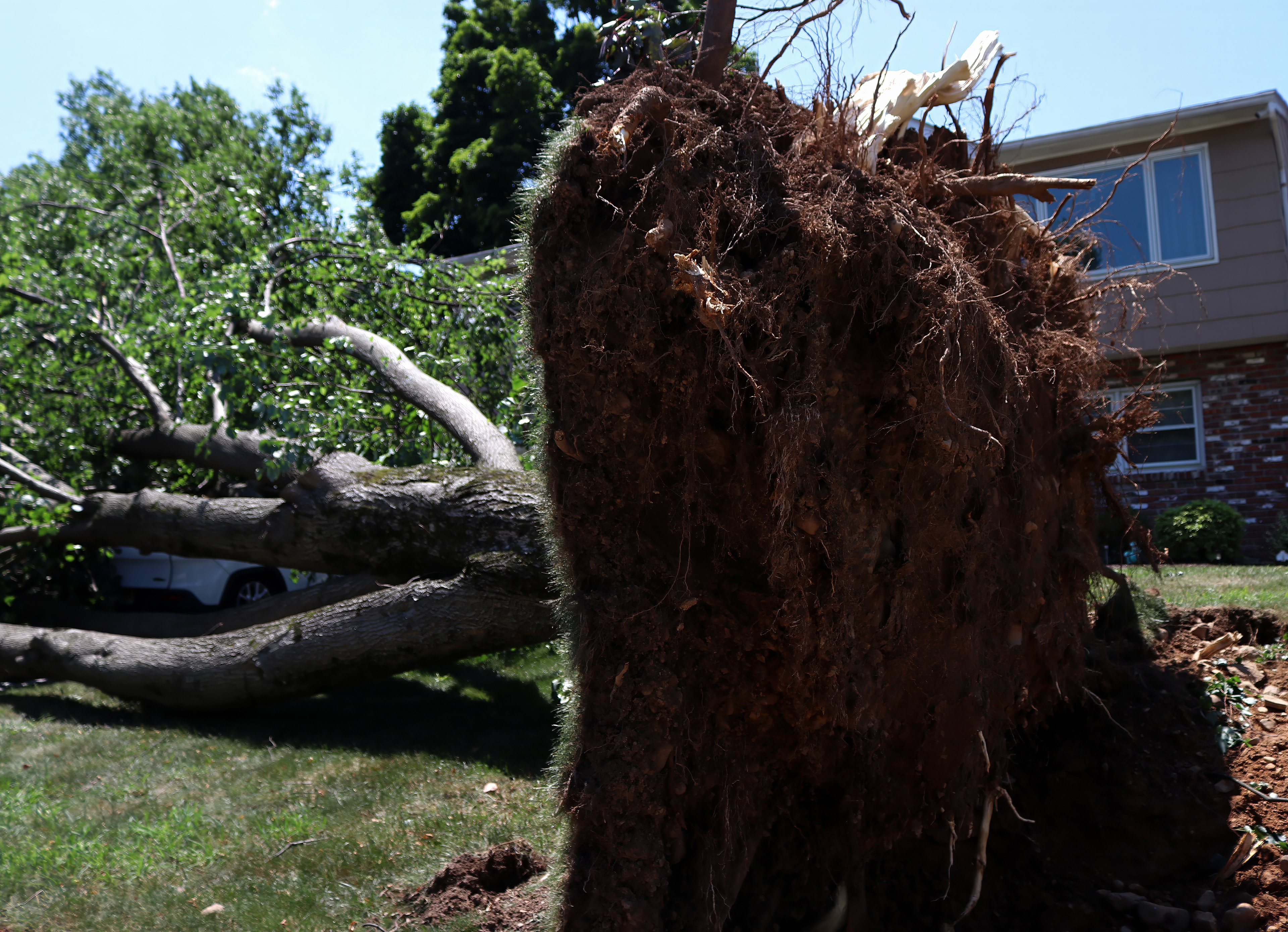 An uprooted tree rests on a resident’s car on Totten Way in Morris Plains after strong winds swept through the area. Photo by Sunah Choudhry.