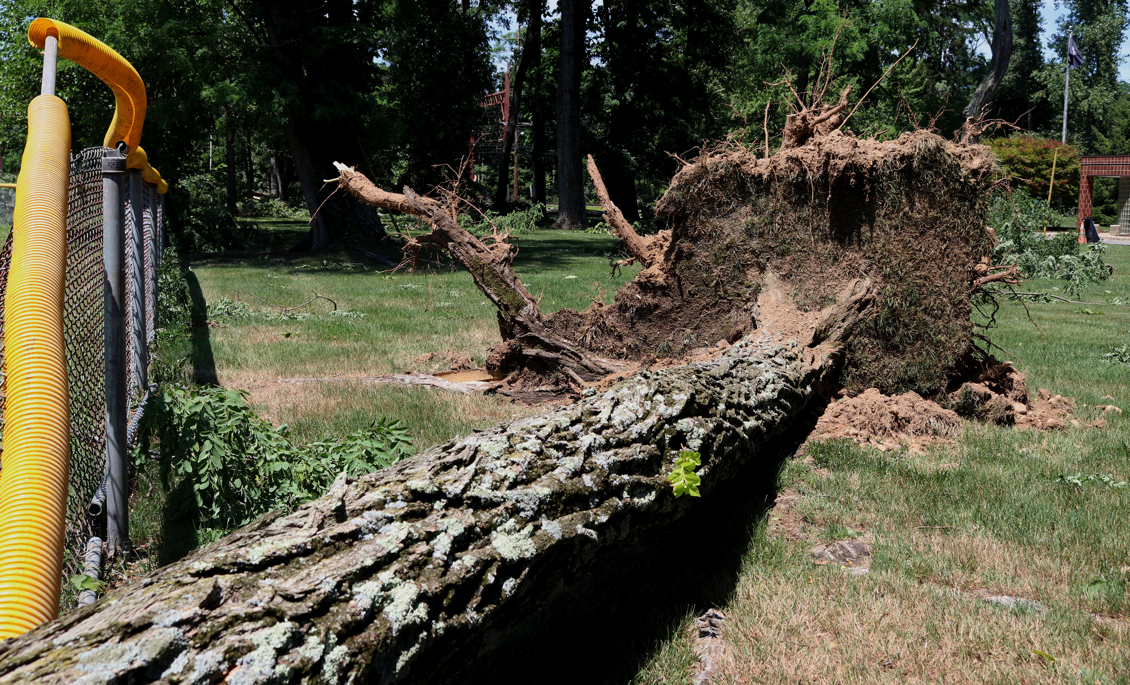 Fallen branches weigh down metal fences at the Veterans of Foreign Affairs #3401 and Veterans Park after a powerful storm in Morris Plains, New Jersey. Photo by Sunah Choudhry.
