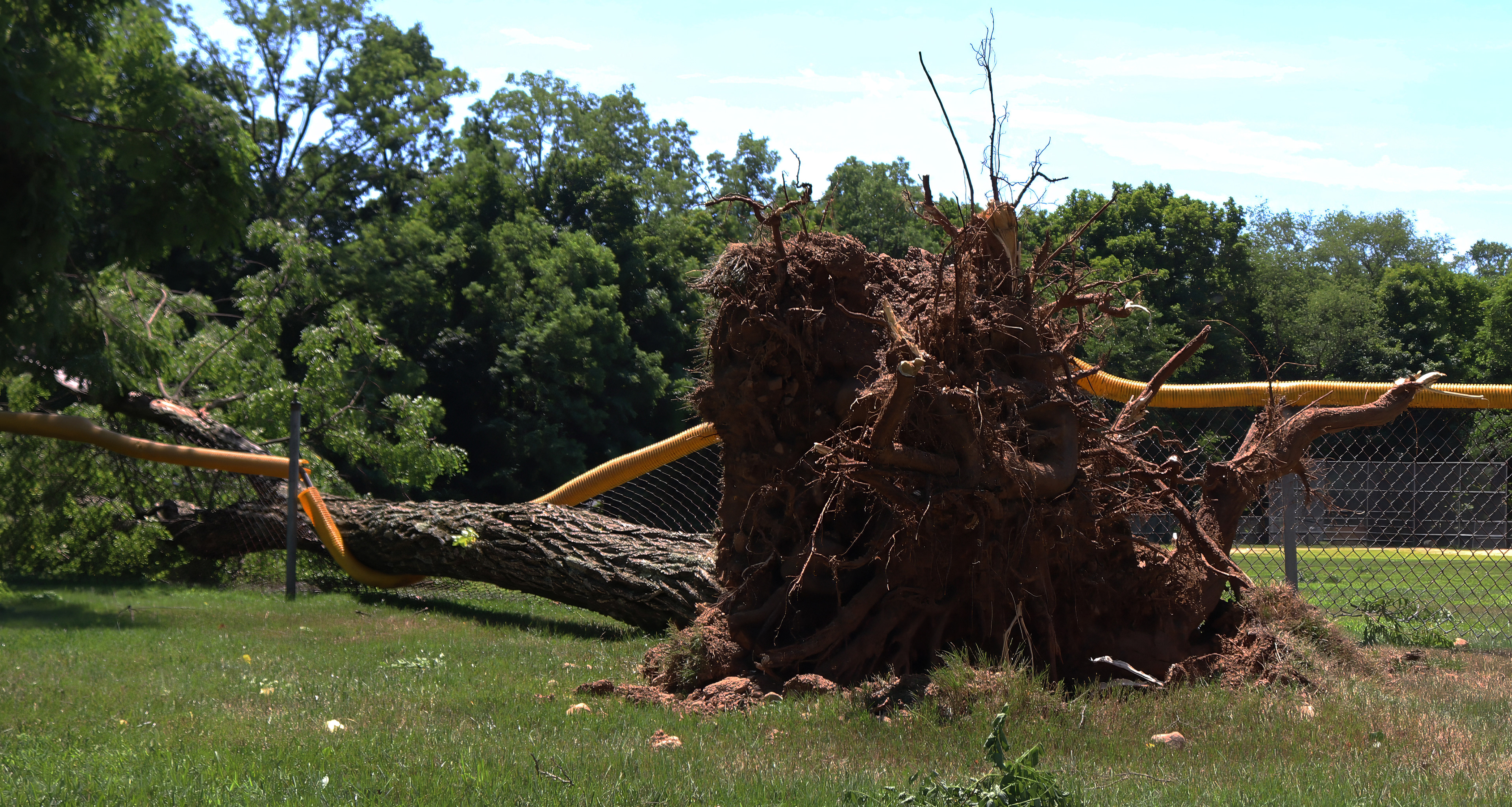 Fallen branches weigh down metal fences at the Veterans of Foreign Affairs #3401 and Veterans Park after a powerful storm in Morris Plains, New Jersey. Photo by Sunah Choudhry