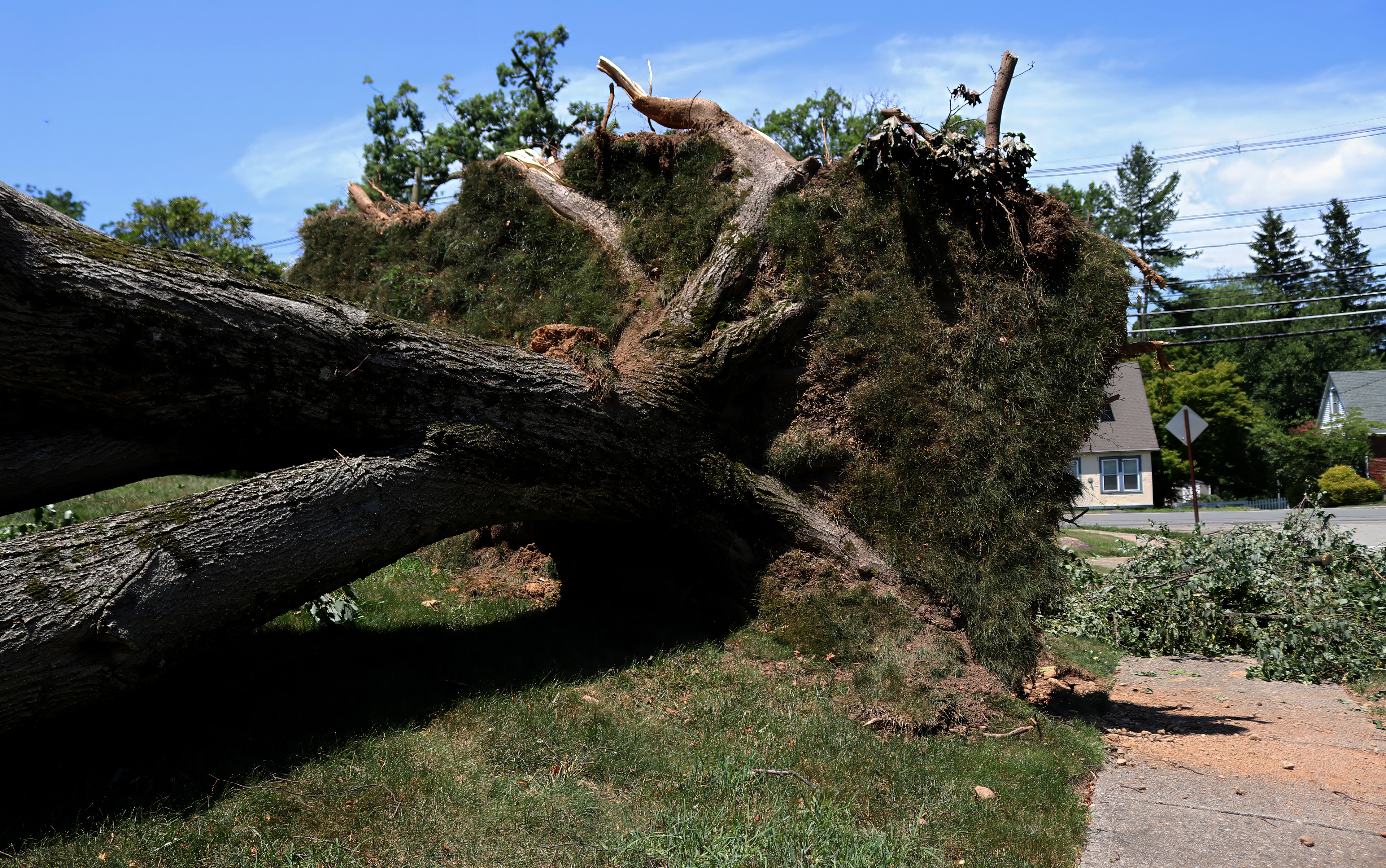 An uprooted tree rests on a resident’s car on Totten Way in Morris Plains after strong winds swept through the area. Photo by Sunah Choudhry.