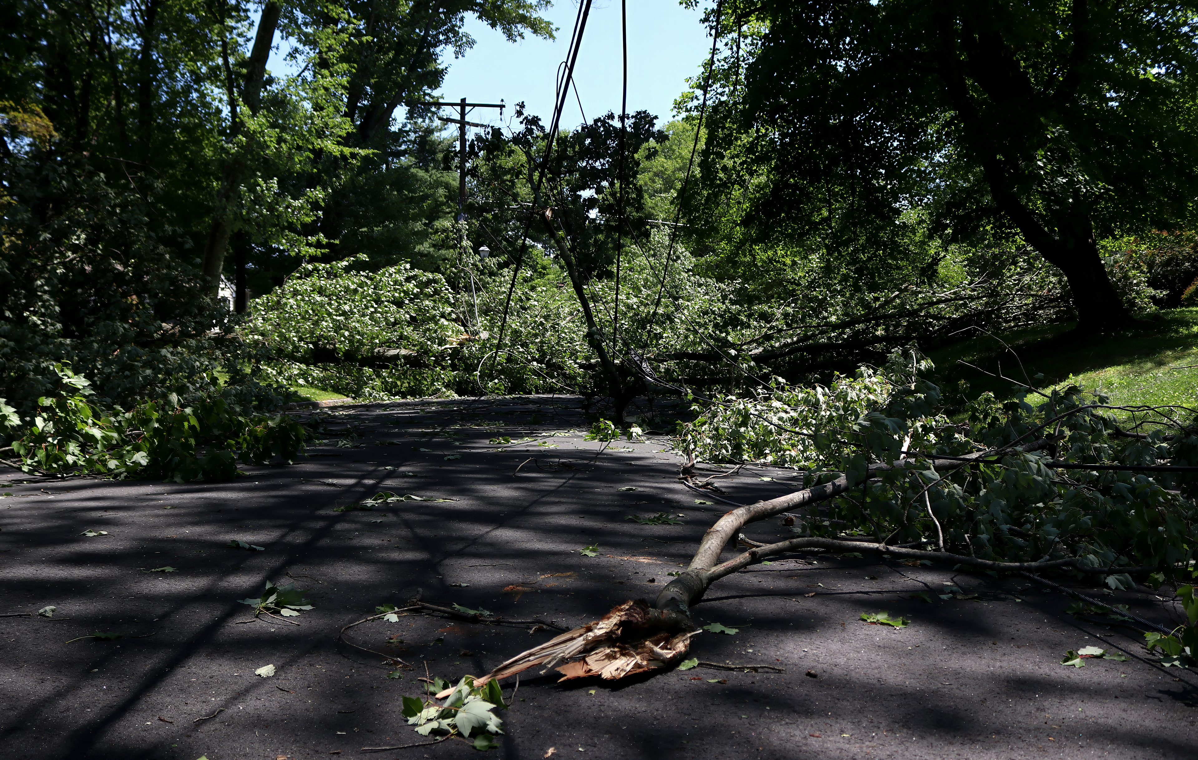 A downed utility line blocks an entire roadway in Morris Plains. Photo by Sunah Choudhry.