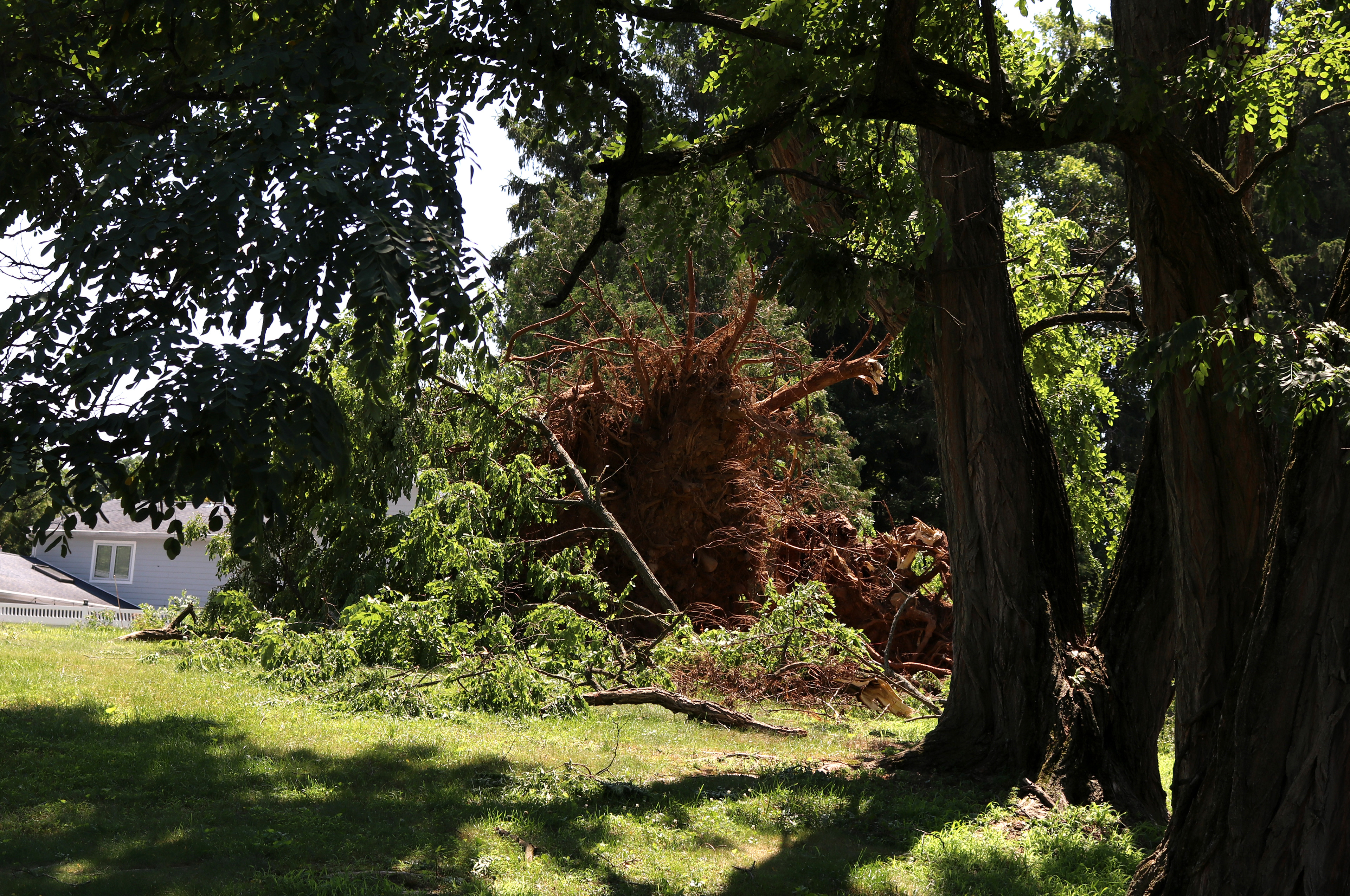 Strong winds uprooted a tree on a residential property during the July 3 storm on Tabor Road in Morris Plains. Photo by Sunah Choudhry