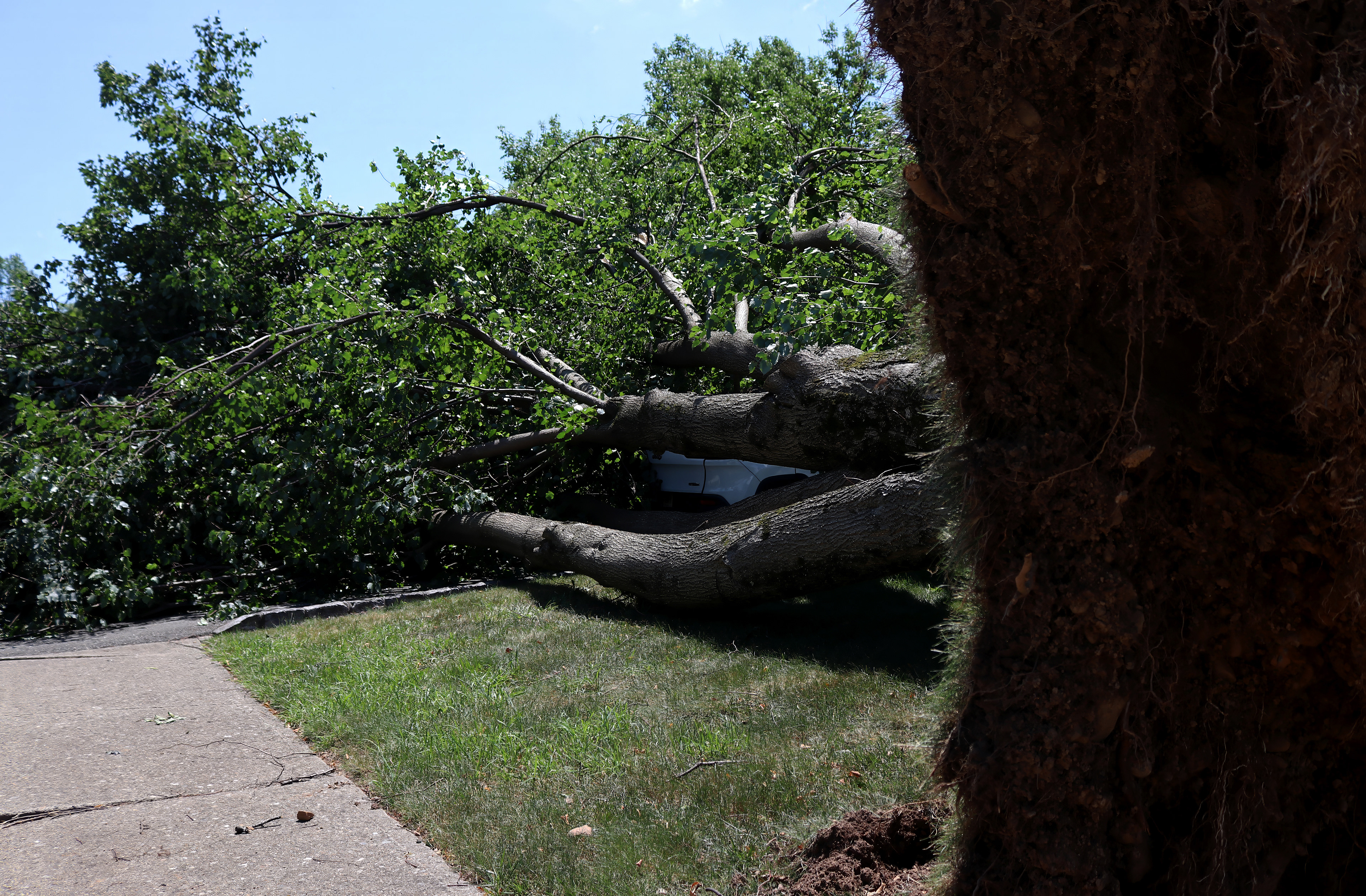 An uprooted tree rests on a resident’s car on Totten Way in Morris Plains after strong winds swept through the area. Photo by Sunah Choudhry.