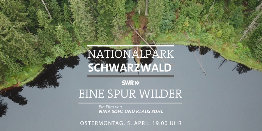 NATIONALPARKZENTRUM RUHESTEIN | 45 min. | SWR