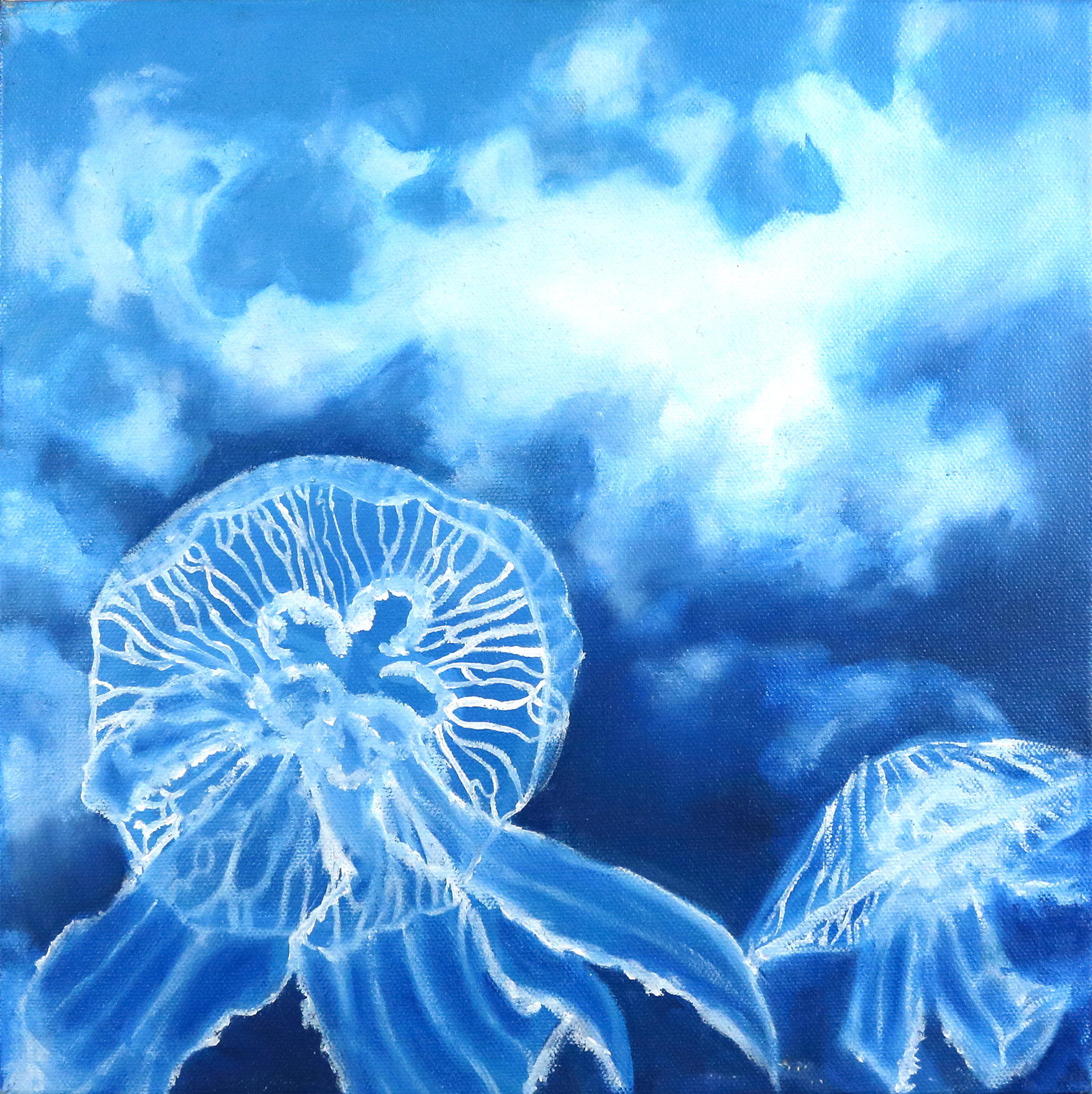 Jellies at Noon, Oil on Canvas, 12"x12", 2017