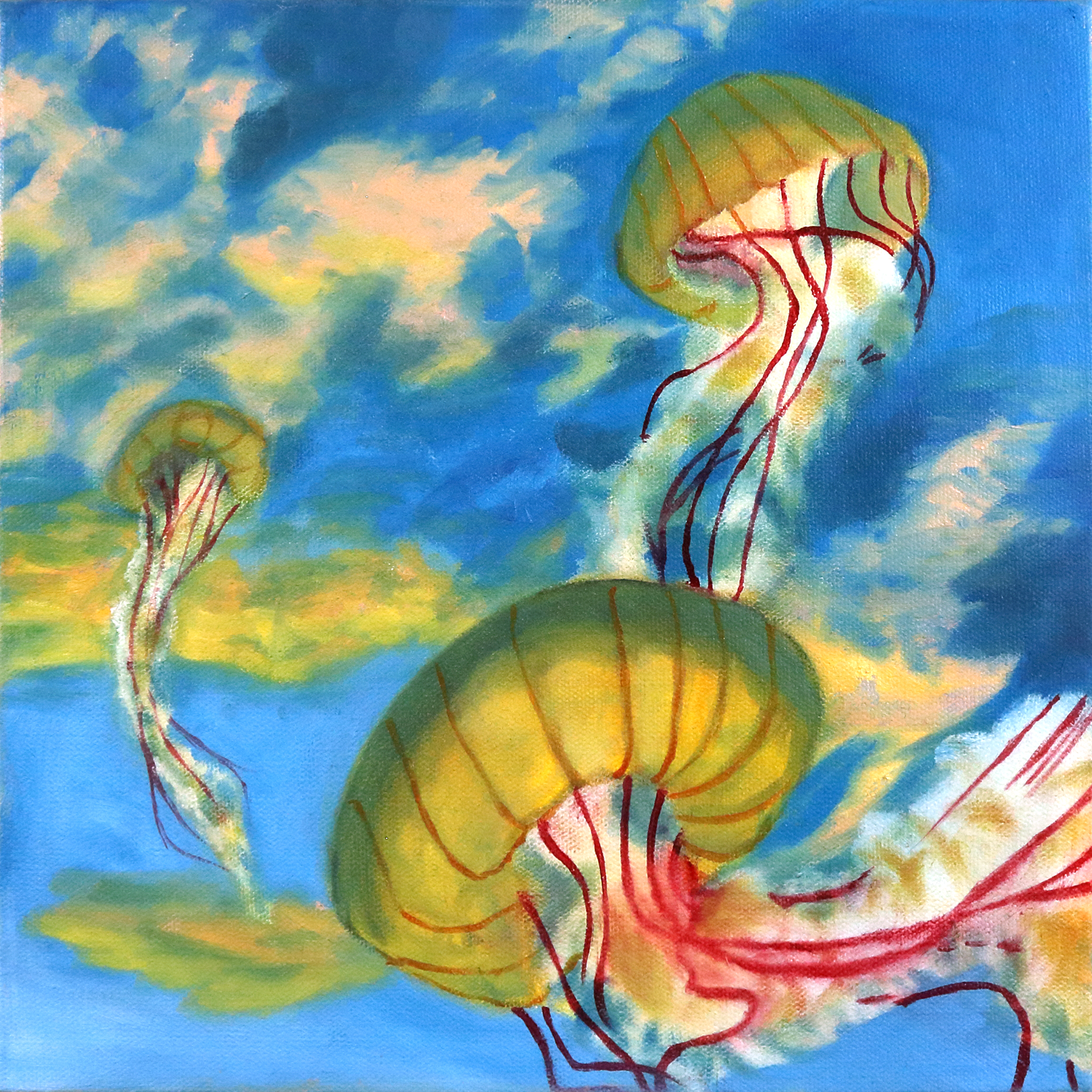 Jellies at Sunset, Oil on Canvas, 12"x12", 2017