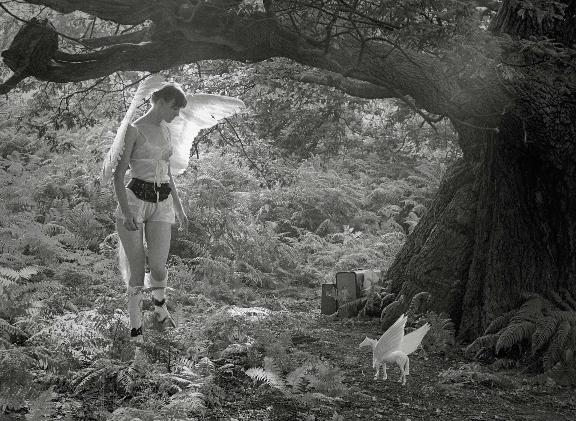 Rose English: Performance: Pegasus, 1975