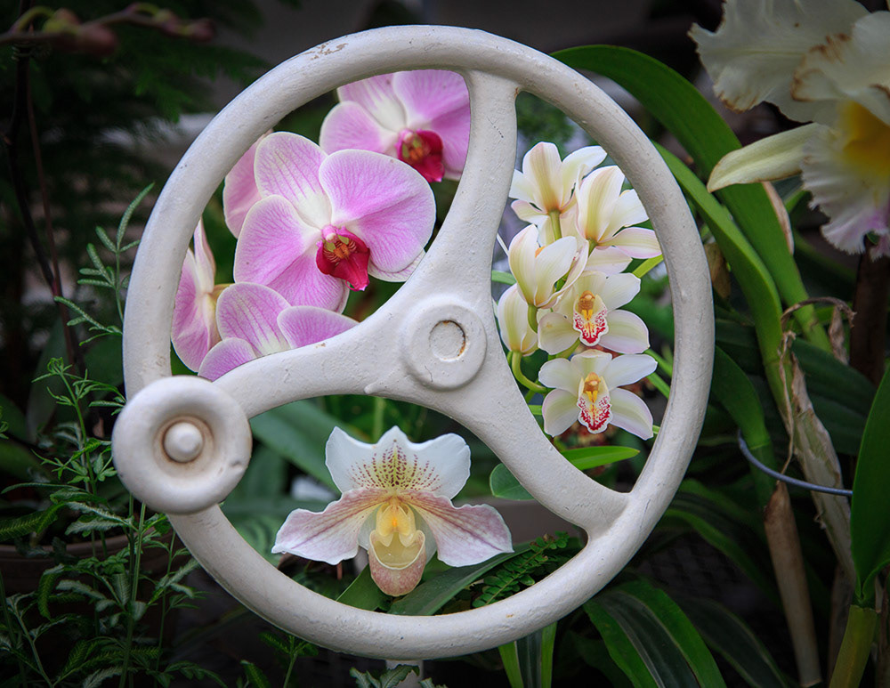 Newfields Orchids
