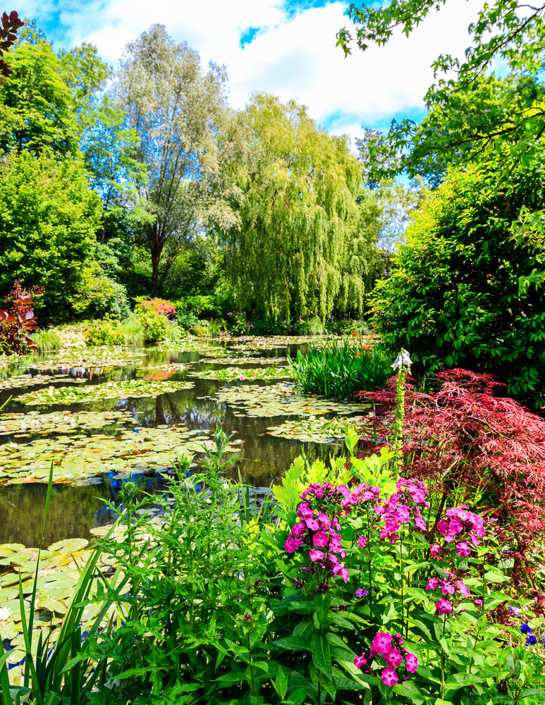 Monet's Water Garden