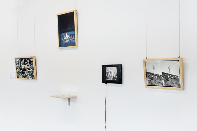 Exhibition: „X-ray”, Wertykalna Gallery, Academy of Fine Arts in Katowice, 28. 09–17. 11. 2017