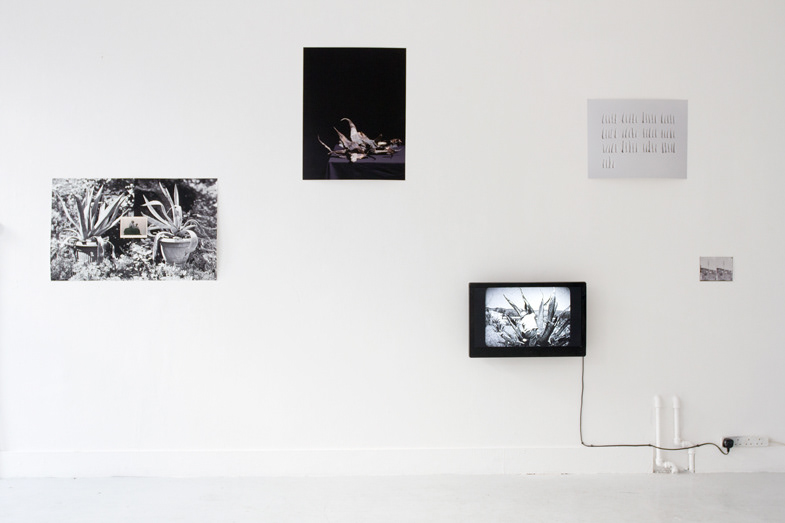 Exhibition: „Parallax”, Triangle Space and Cookhouse, Chelsea College of Arts, Londyn, 20–27. 2016