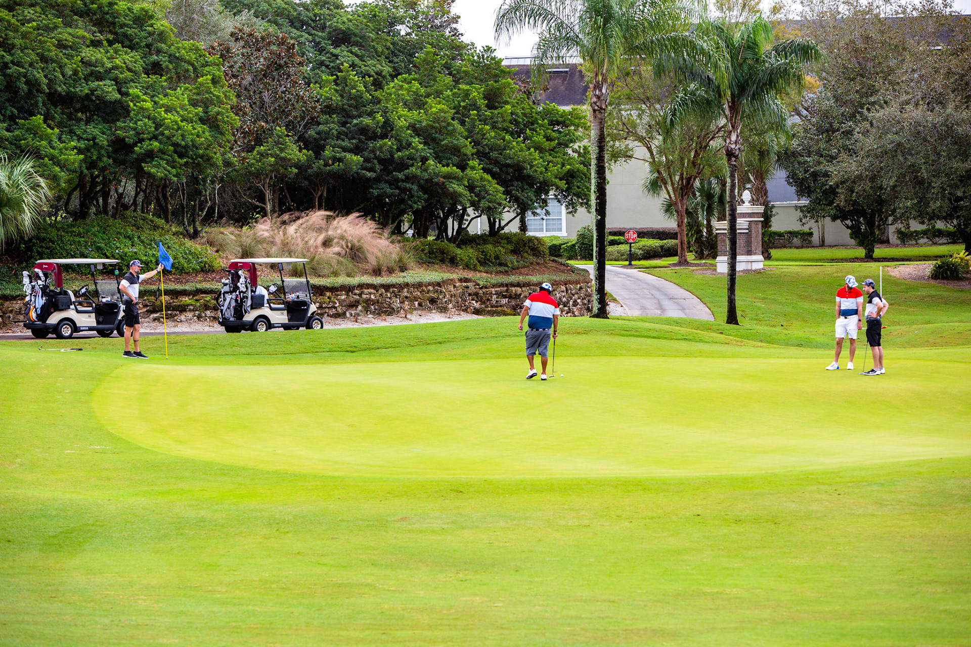 Players Cup 20