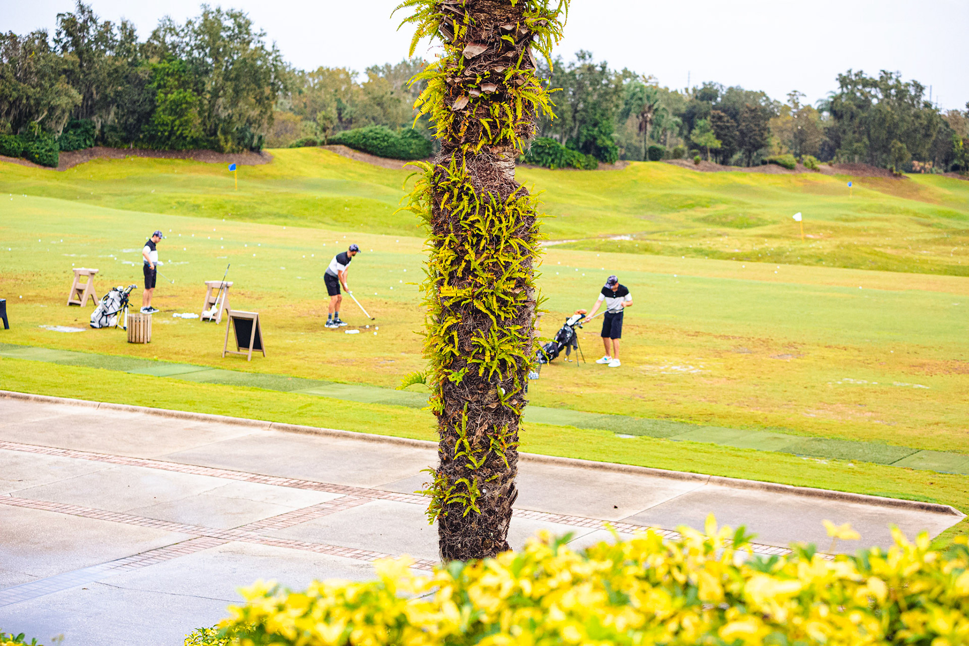 Players Cup 20