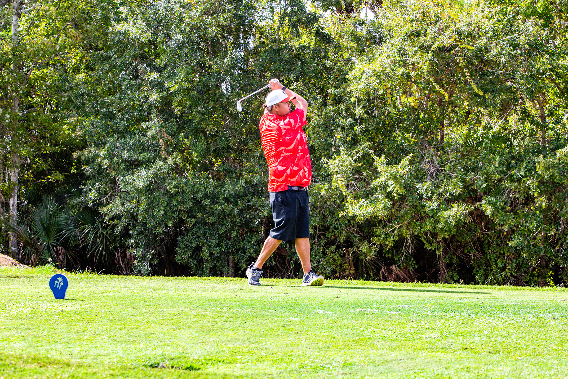Players Cup 20