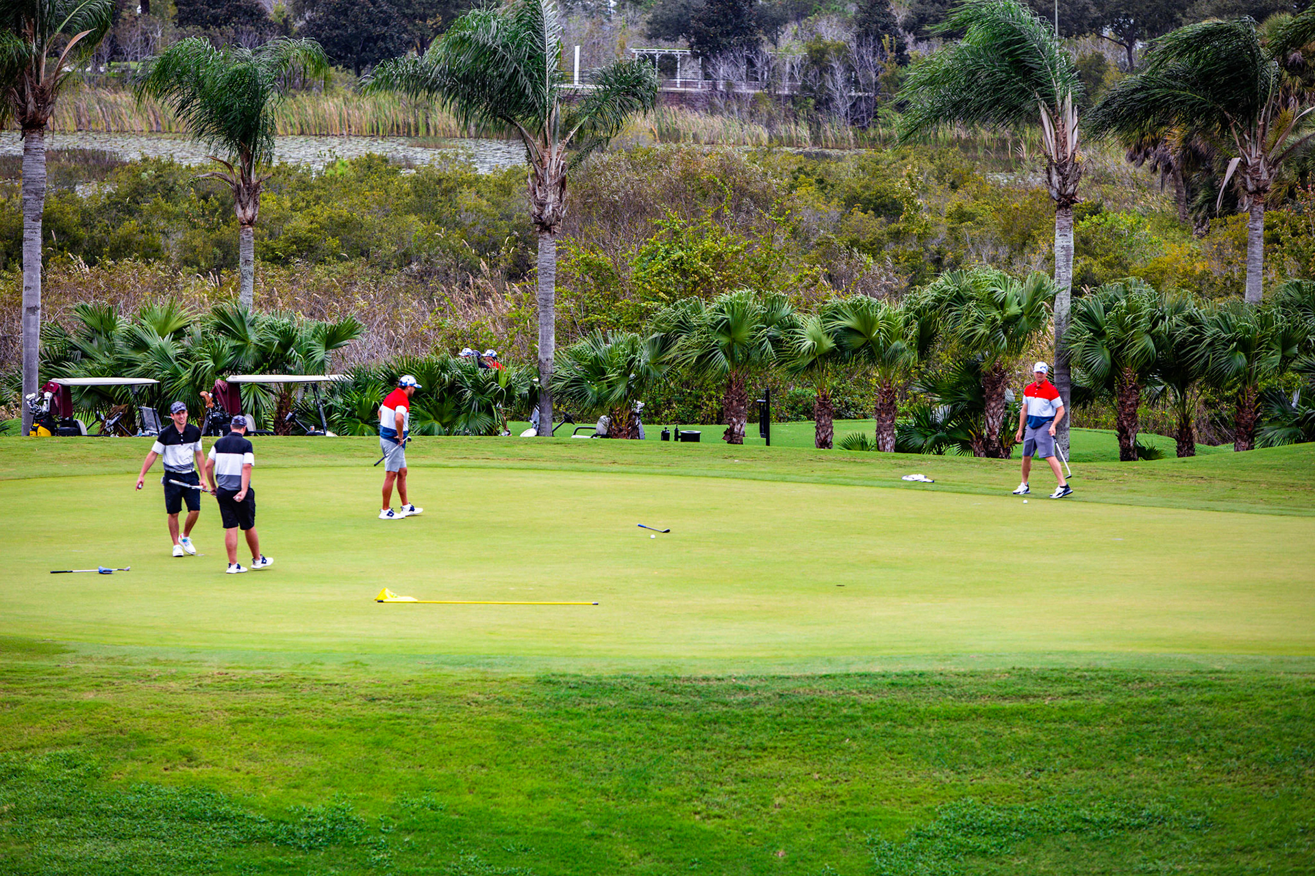 Players Cup 20