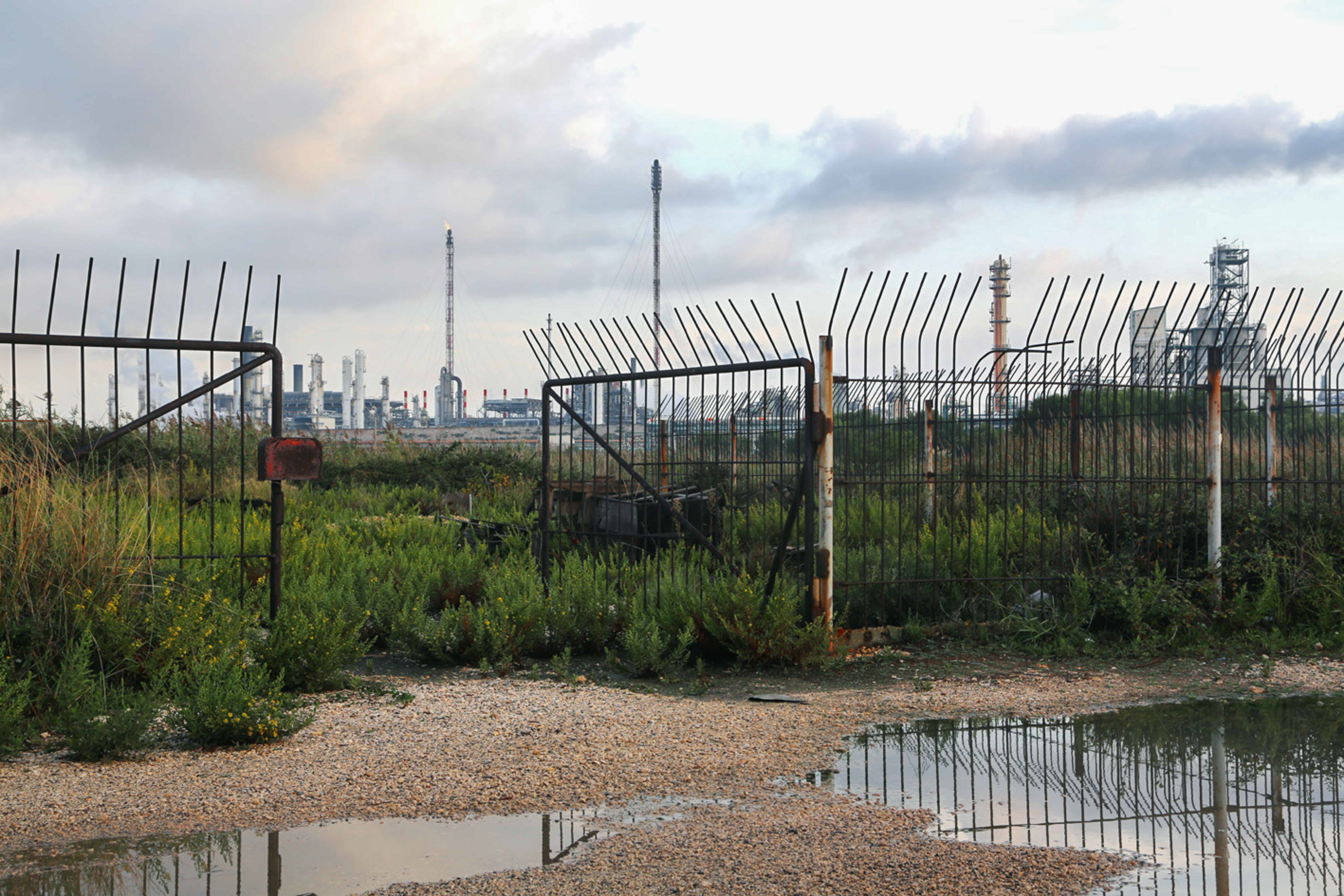 Landphoto - in-strada