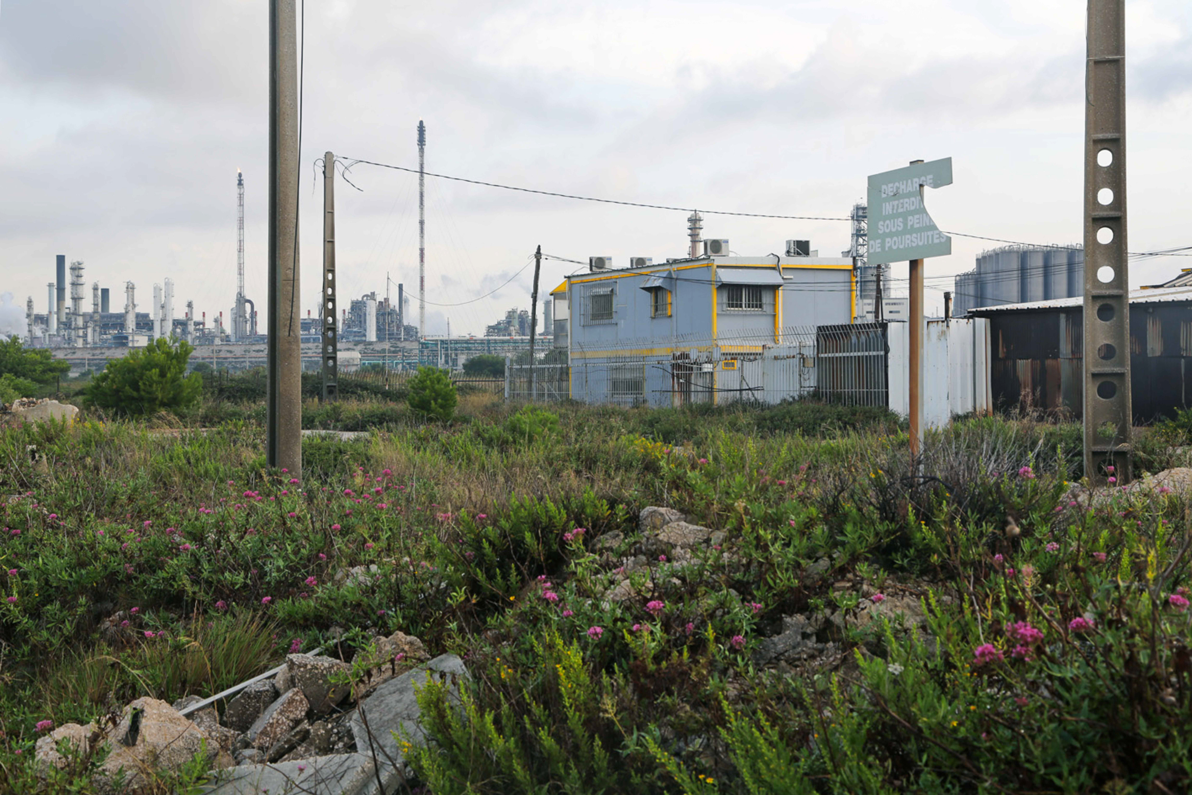 Landphoto - in-strada