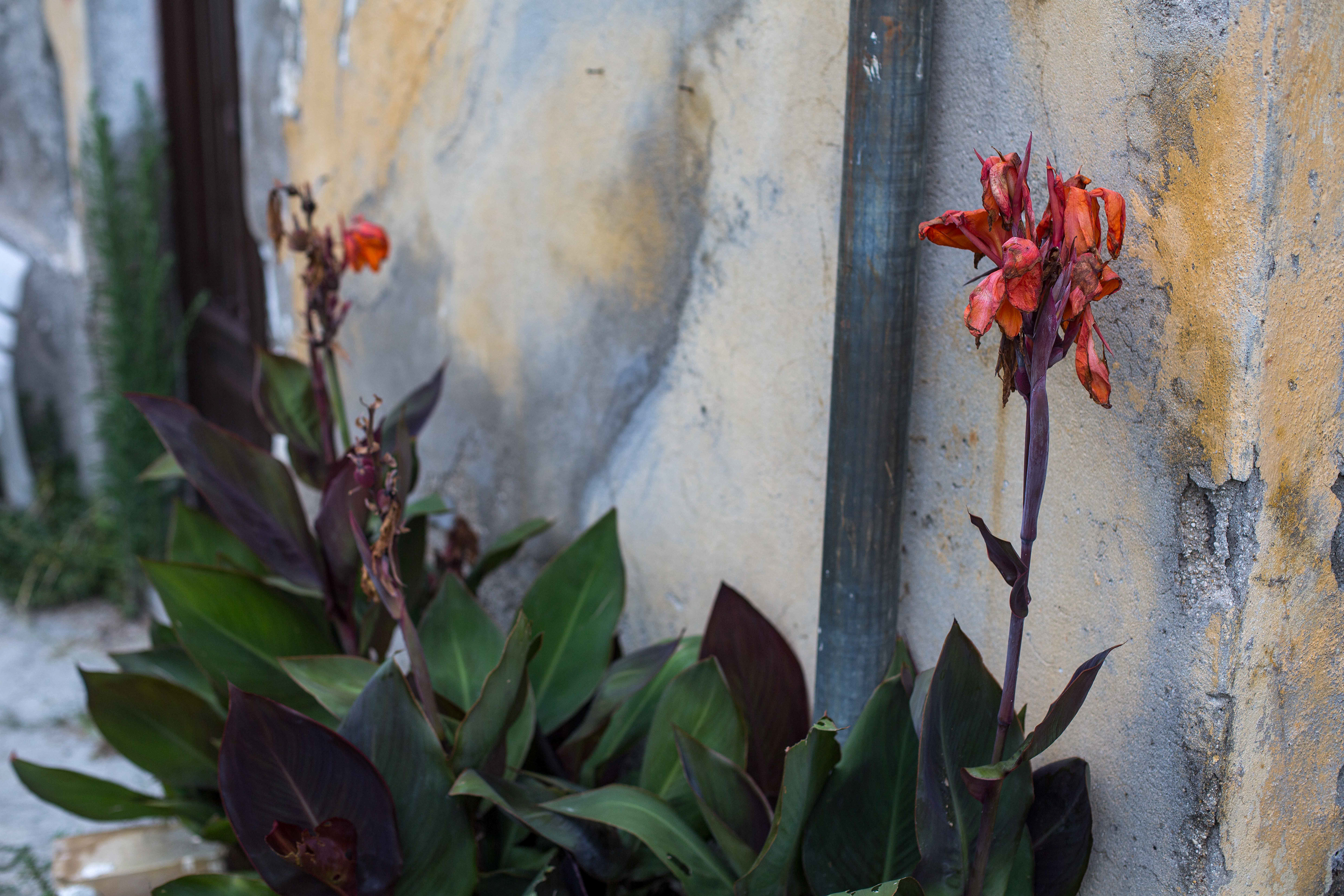Landphoto - in-strada