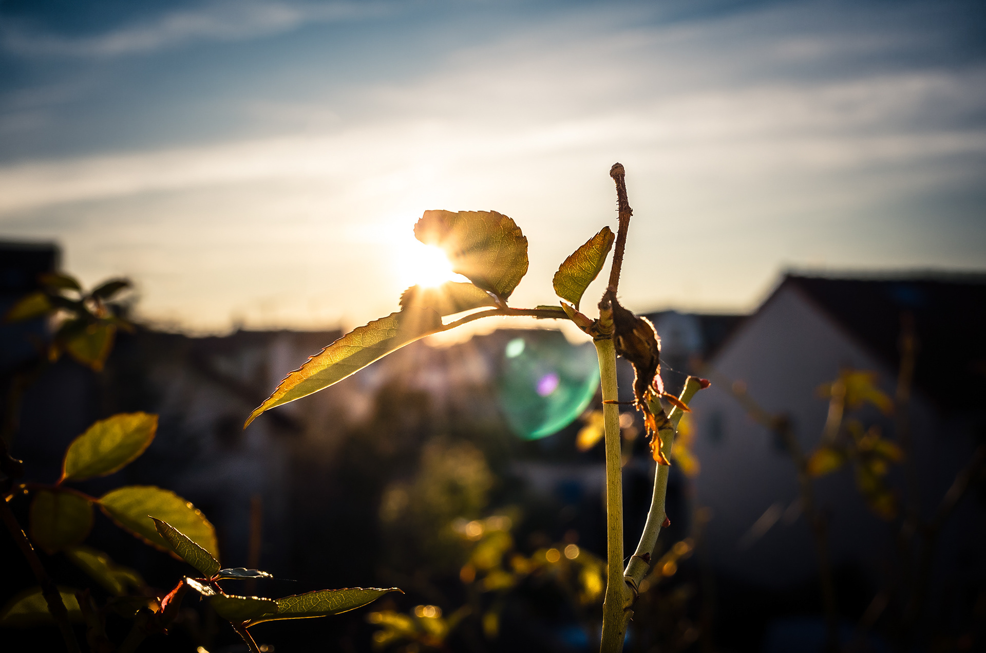 Coucher de soleil à Houilles