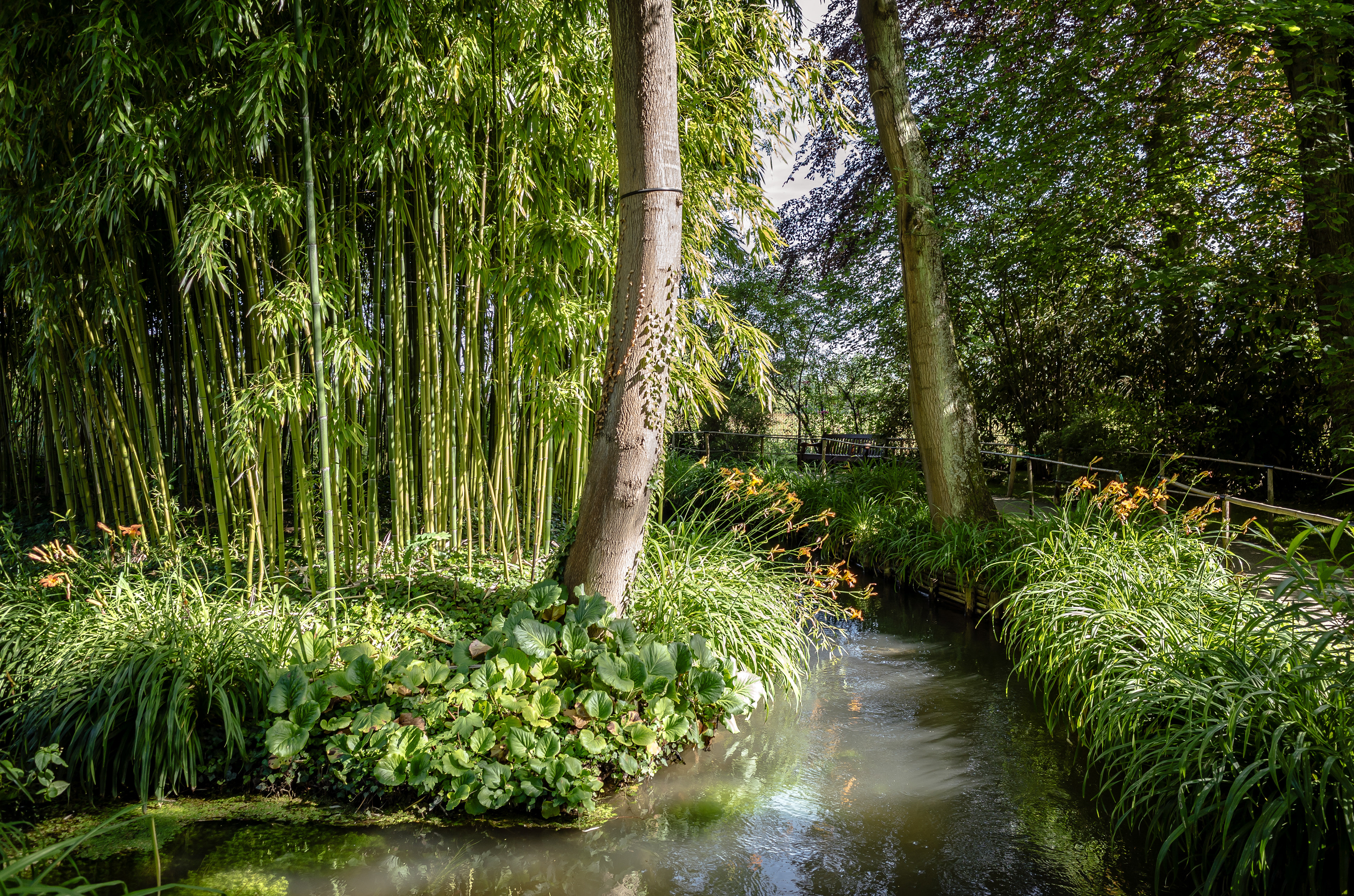 Jardin de Claude Monet (Giverny France)