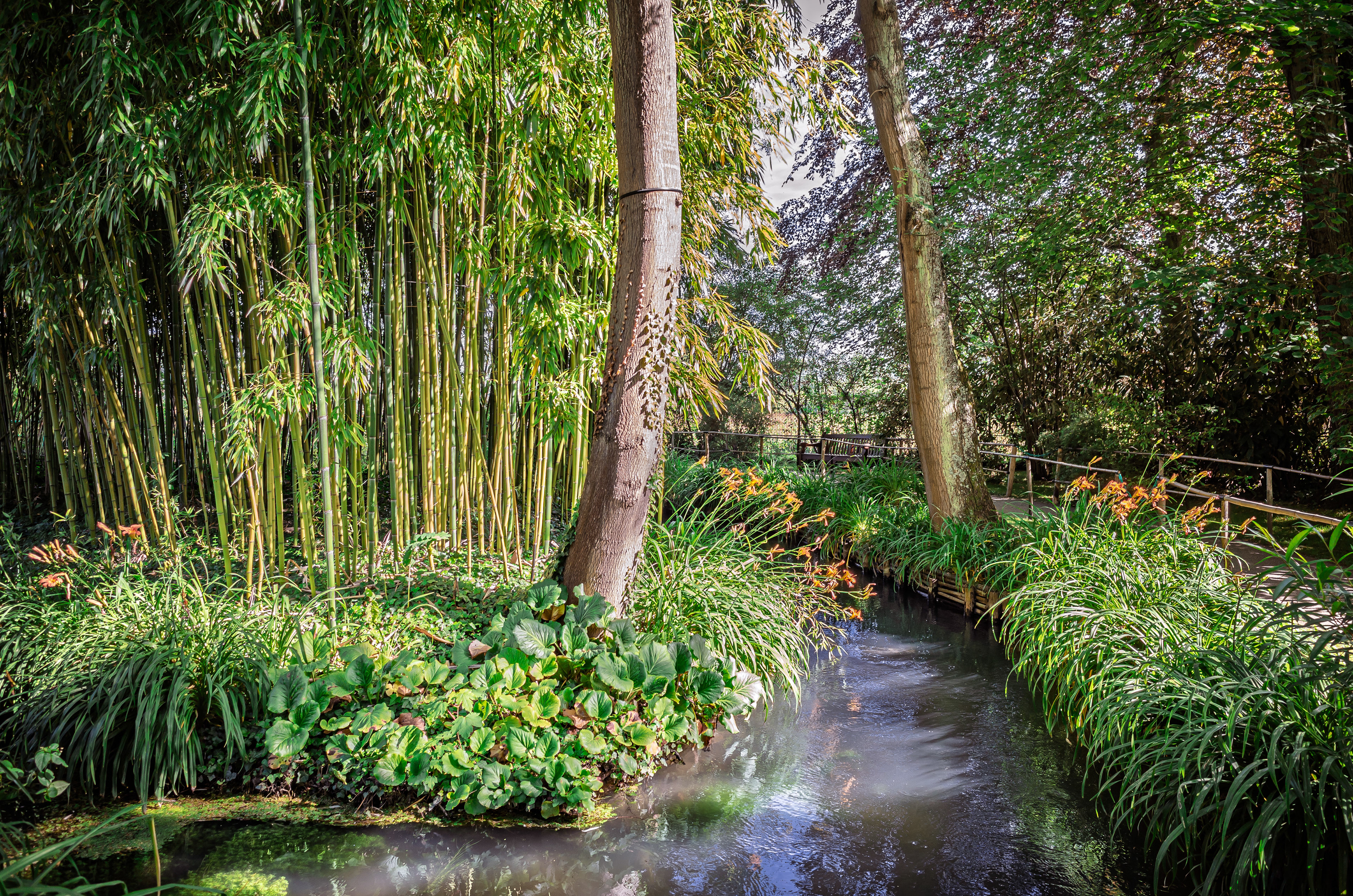 Jardin de Claude Monet (Giverny France)