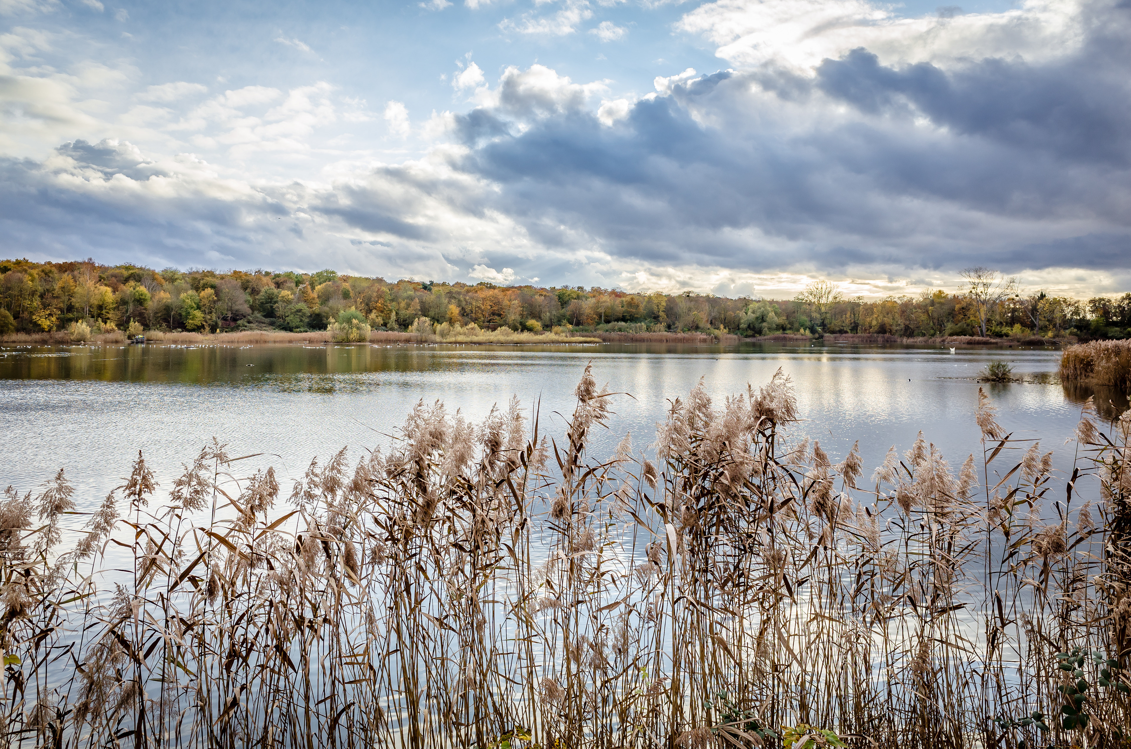 L'étang du Corra en France