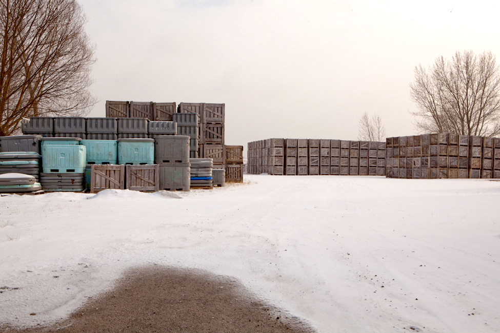 Wheatley Harbour, Ontario